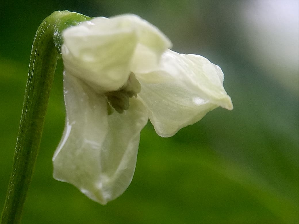 WhatsApp Image 2020-02-21 at 15.29.17 (1).jpeg