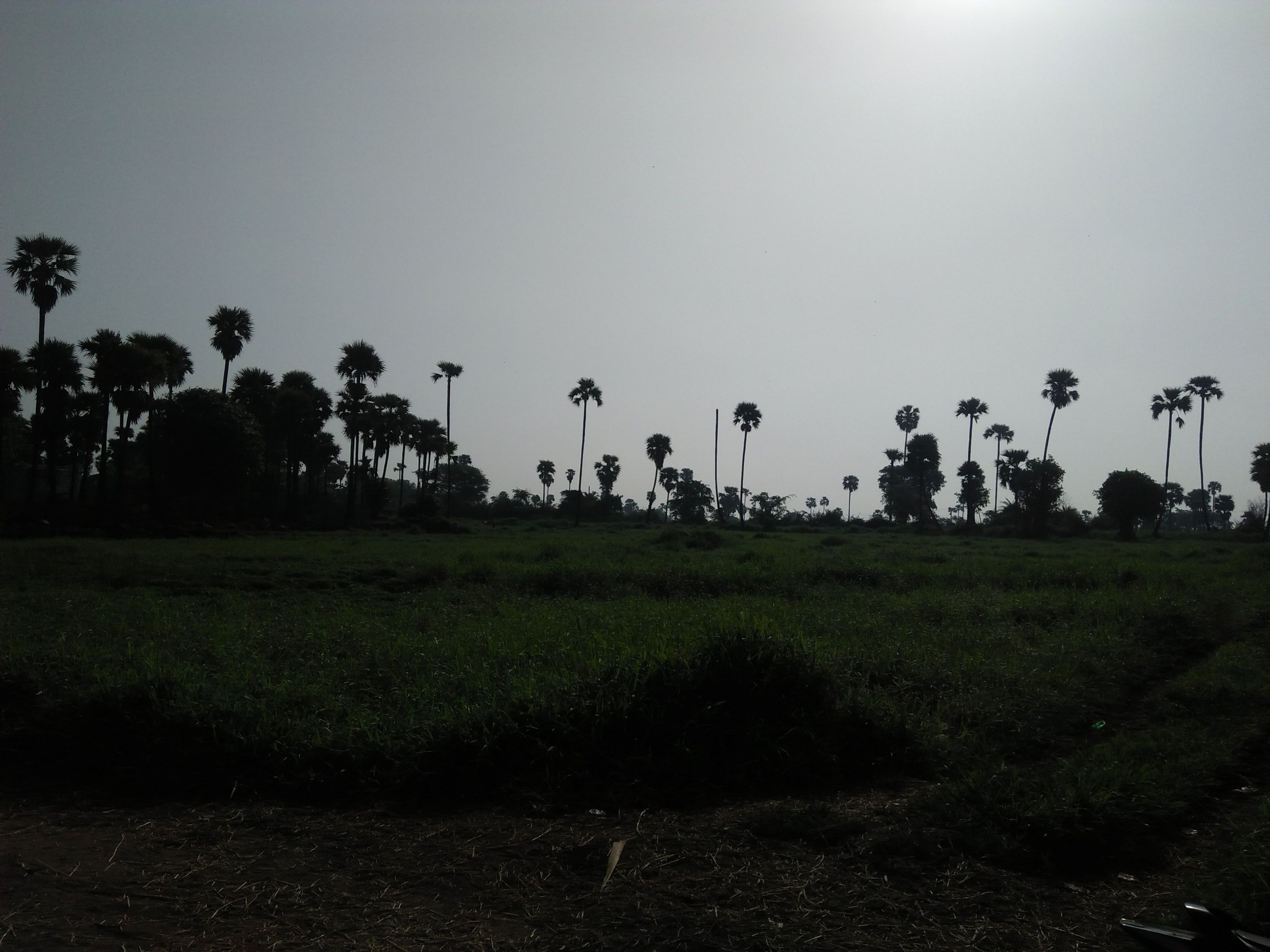 IMG20180422081512.jpg
