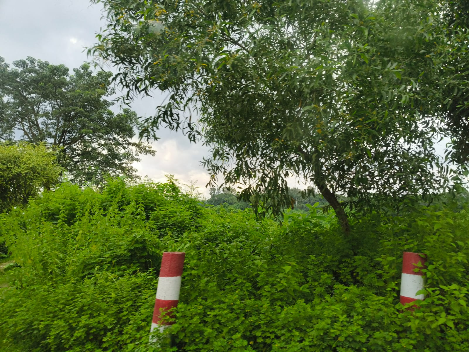 1000380291.jpg