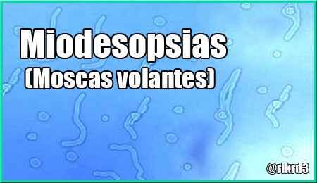moscas.jpg