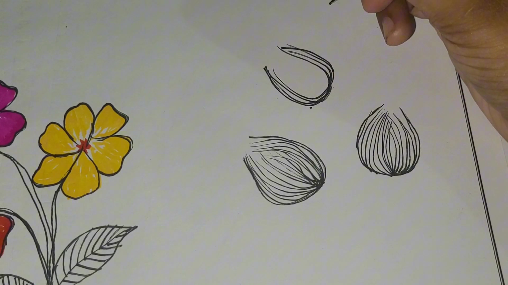 VideoCapture_20260917-195823.jpg