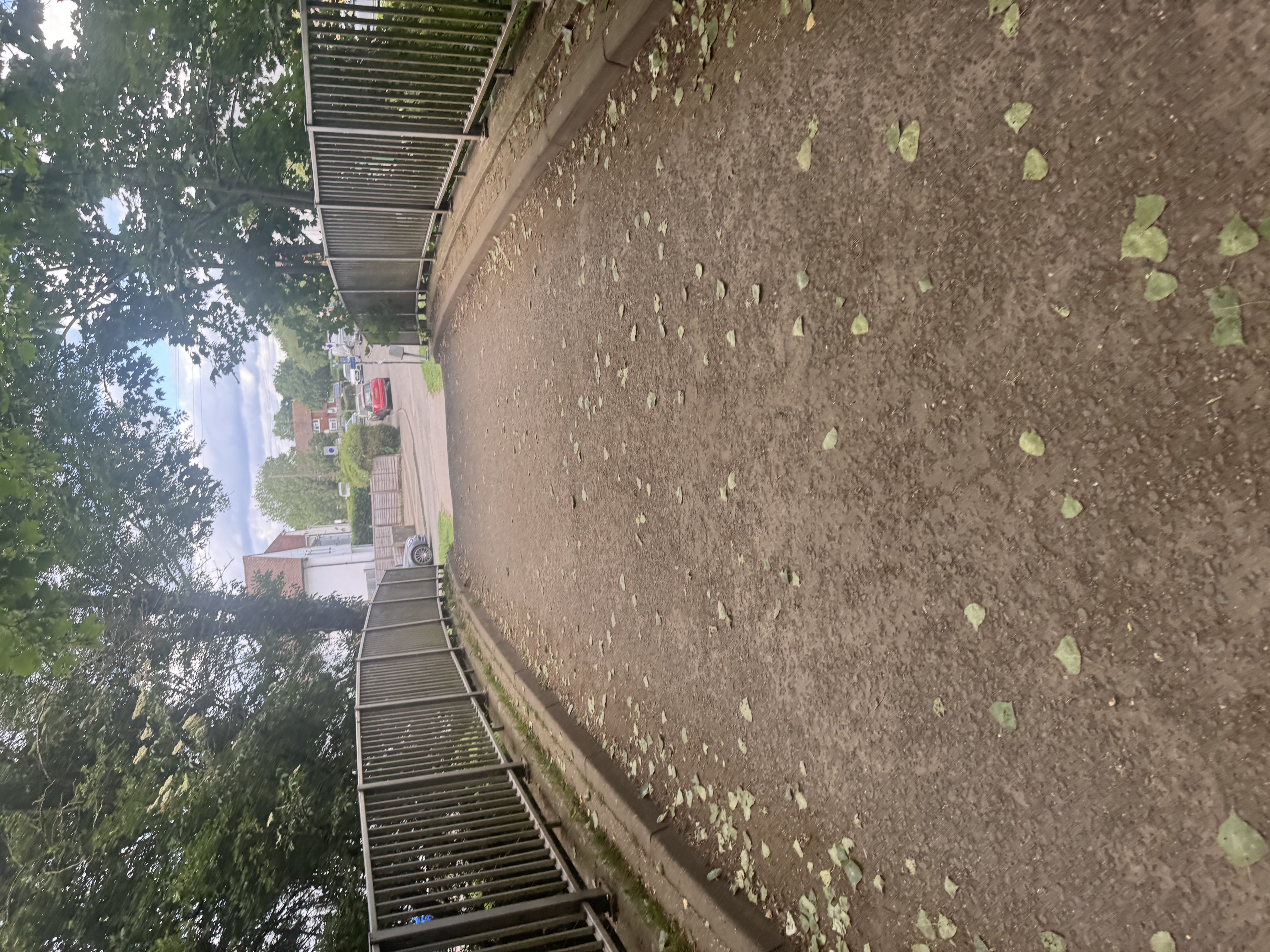 IMG_3371.jpeg