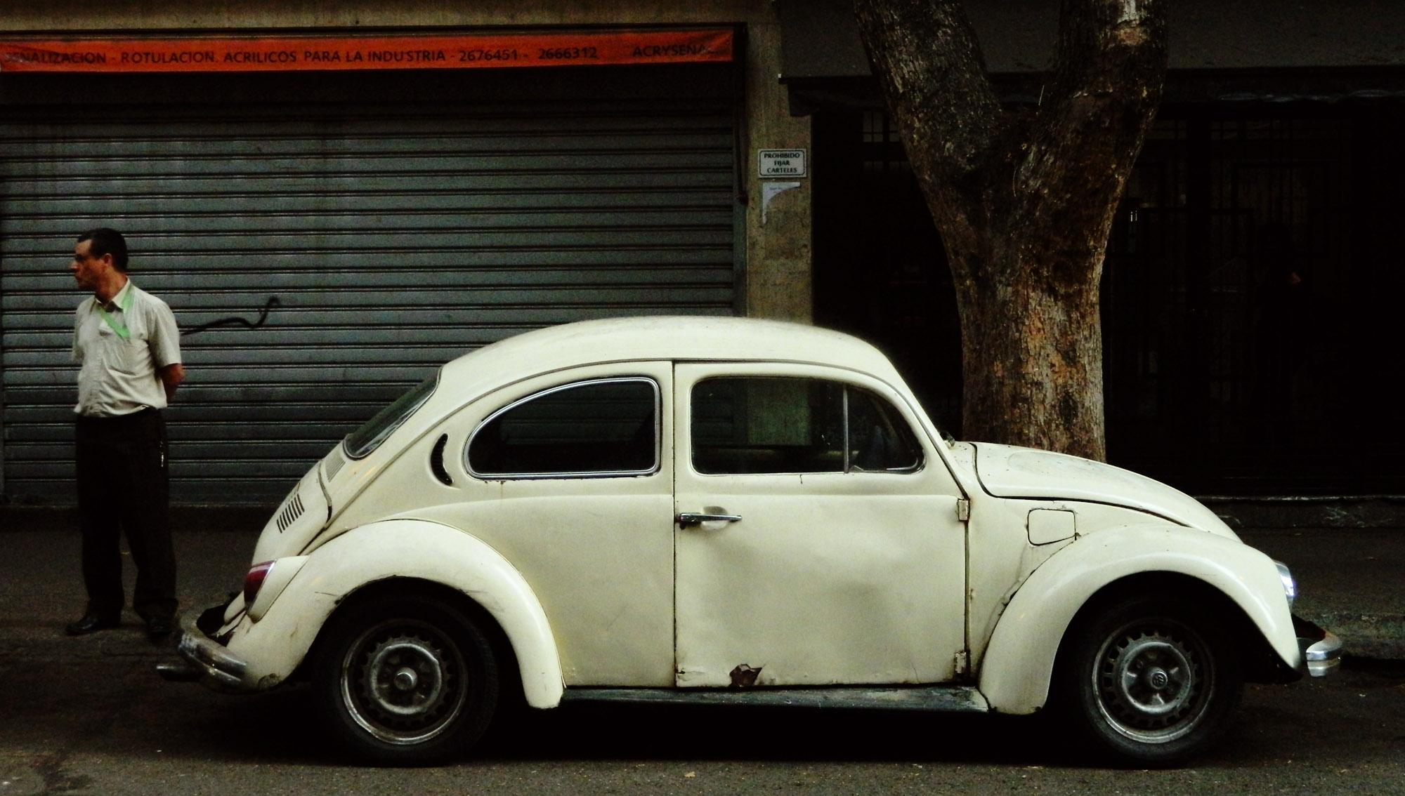 DSCN8078.jpg
