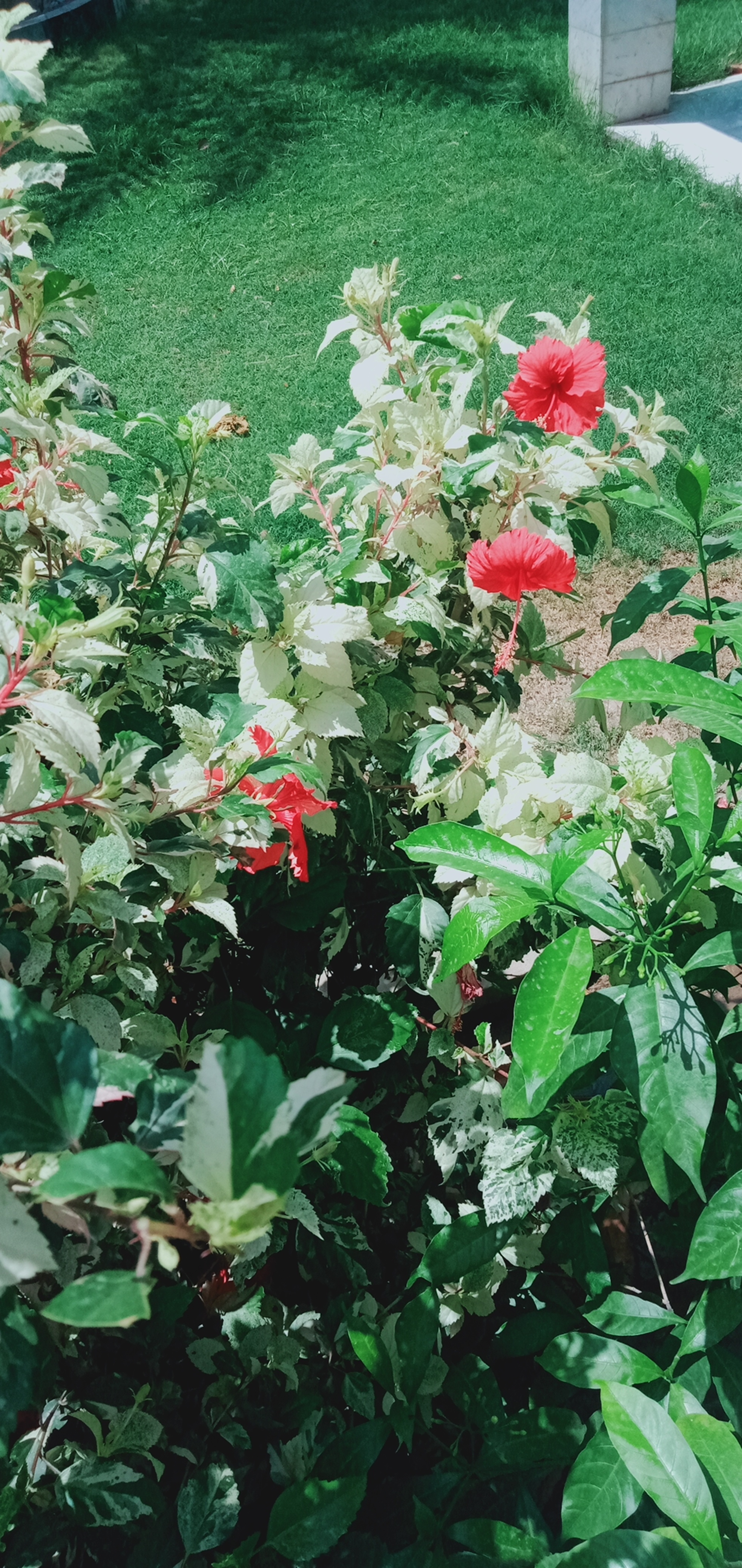 IMG20210526104651.jpg
