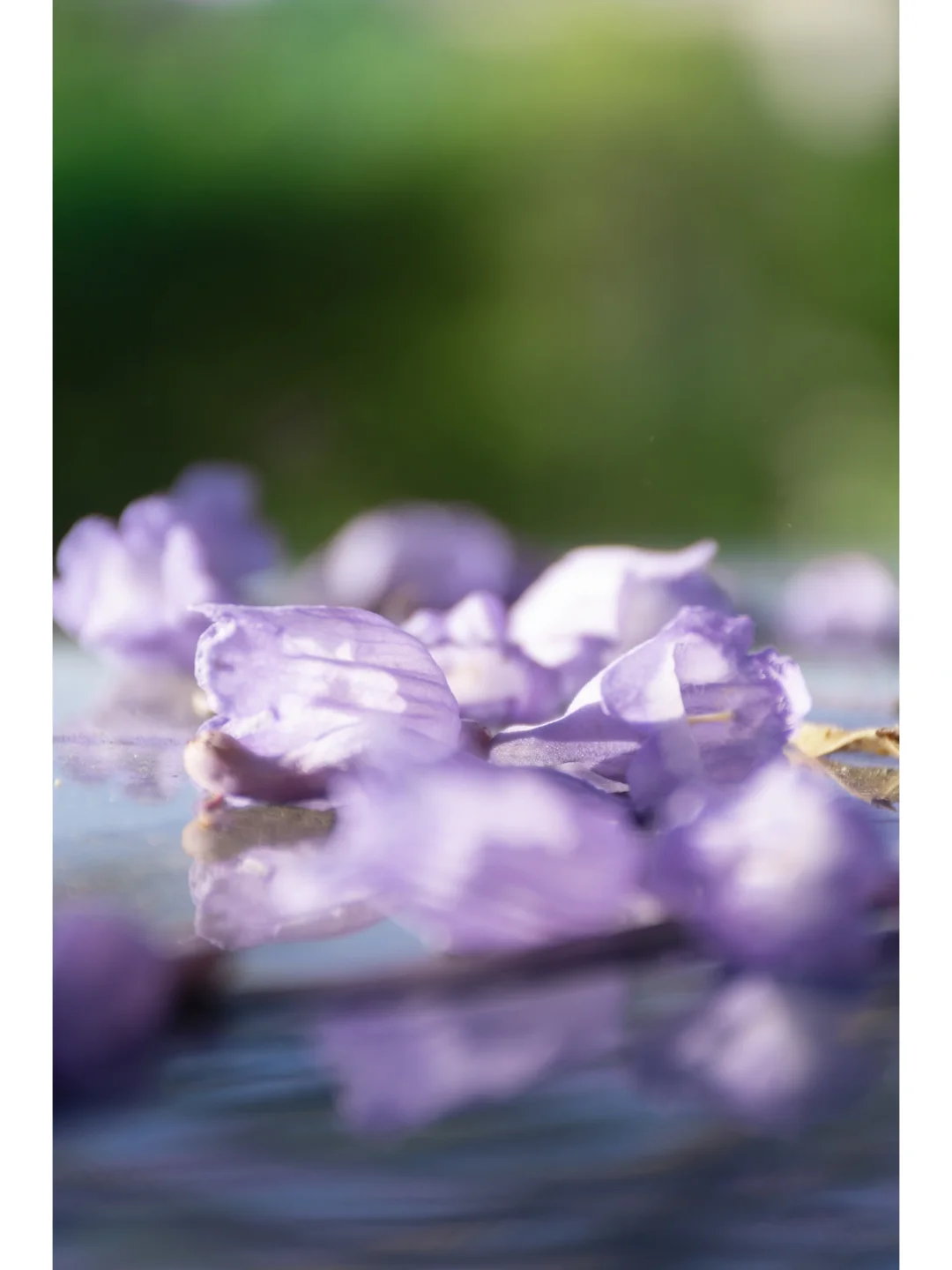 275.webp