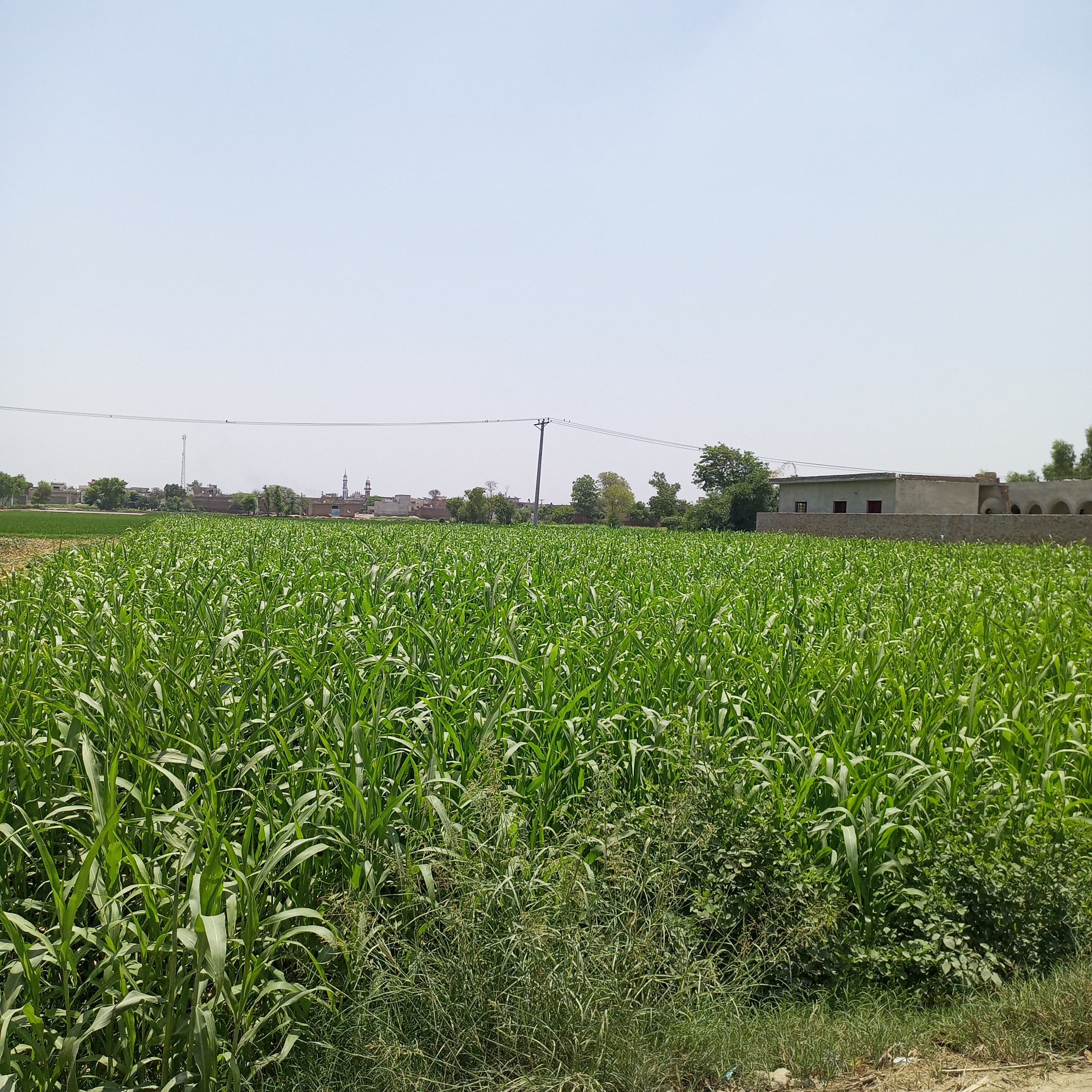 IMG-20260621-WA0045.jpg