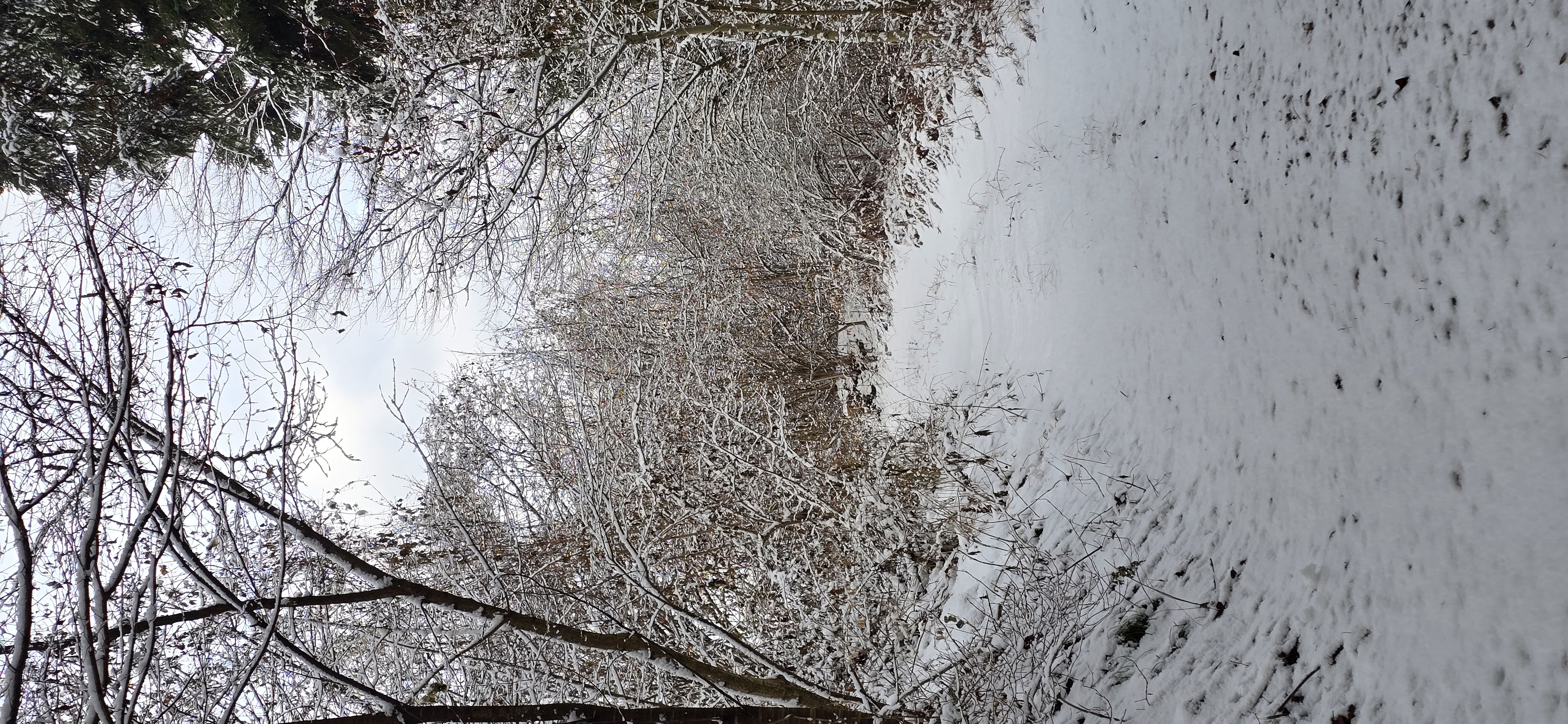 20260124_150641.jpg