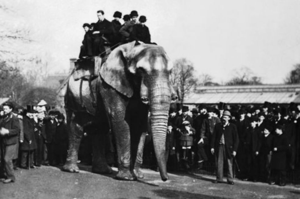 _99181381_jumbo1.jpg