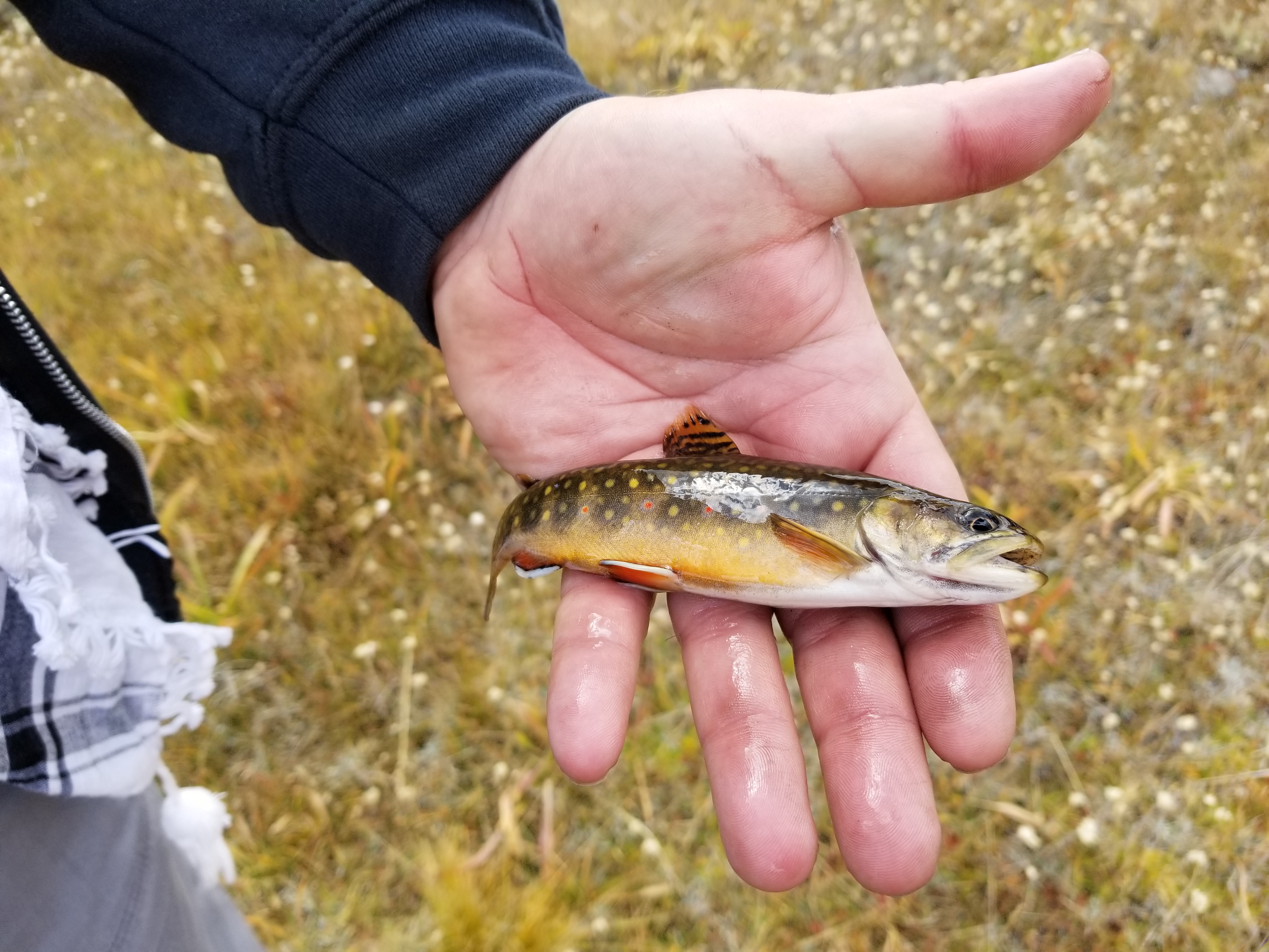 20190923_132507.jpg