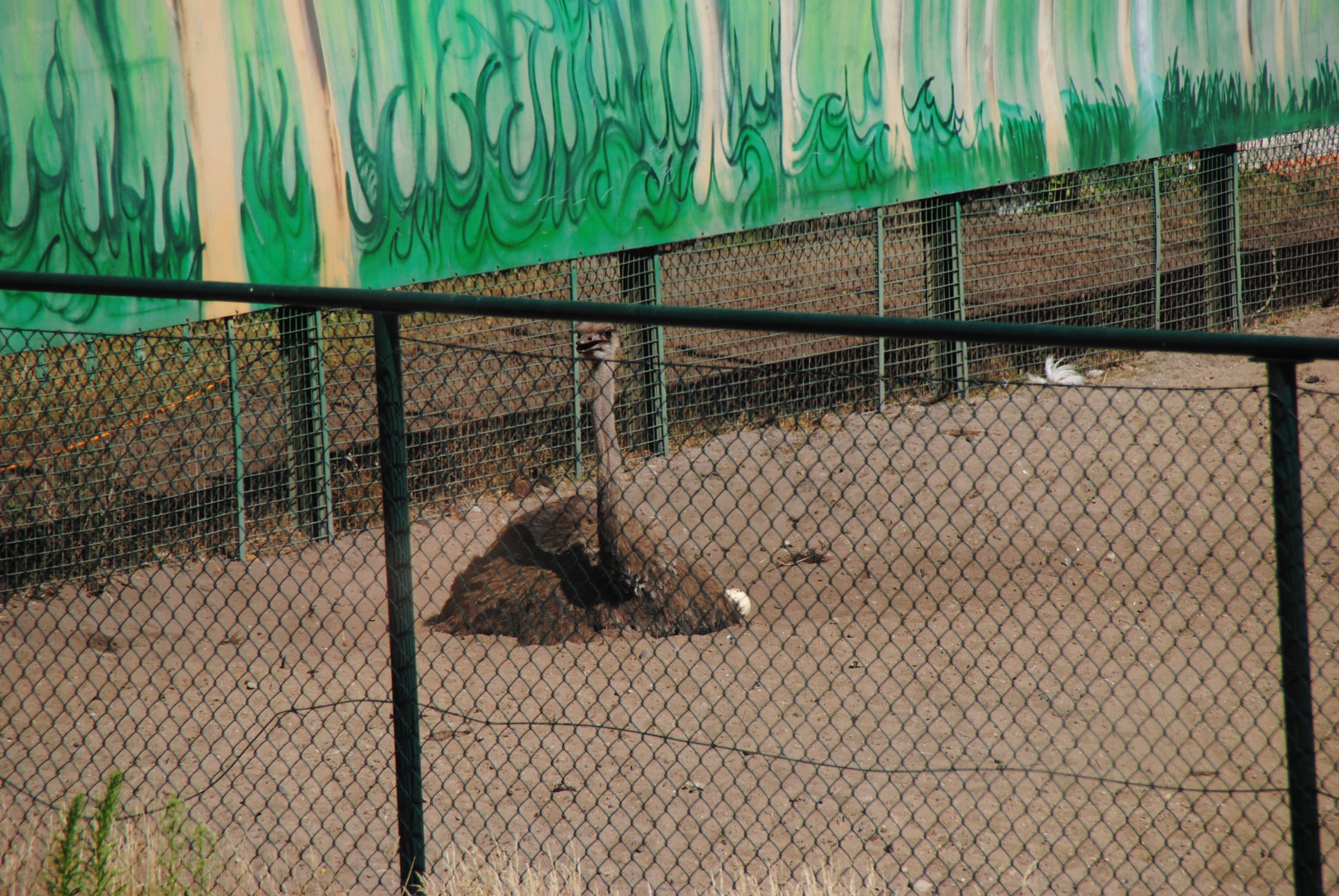 image042.jpg