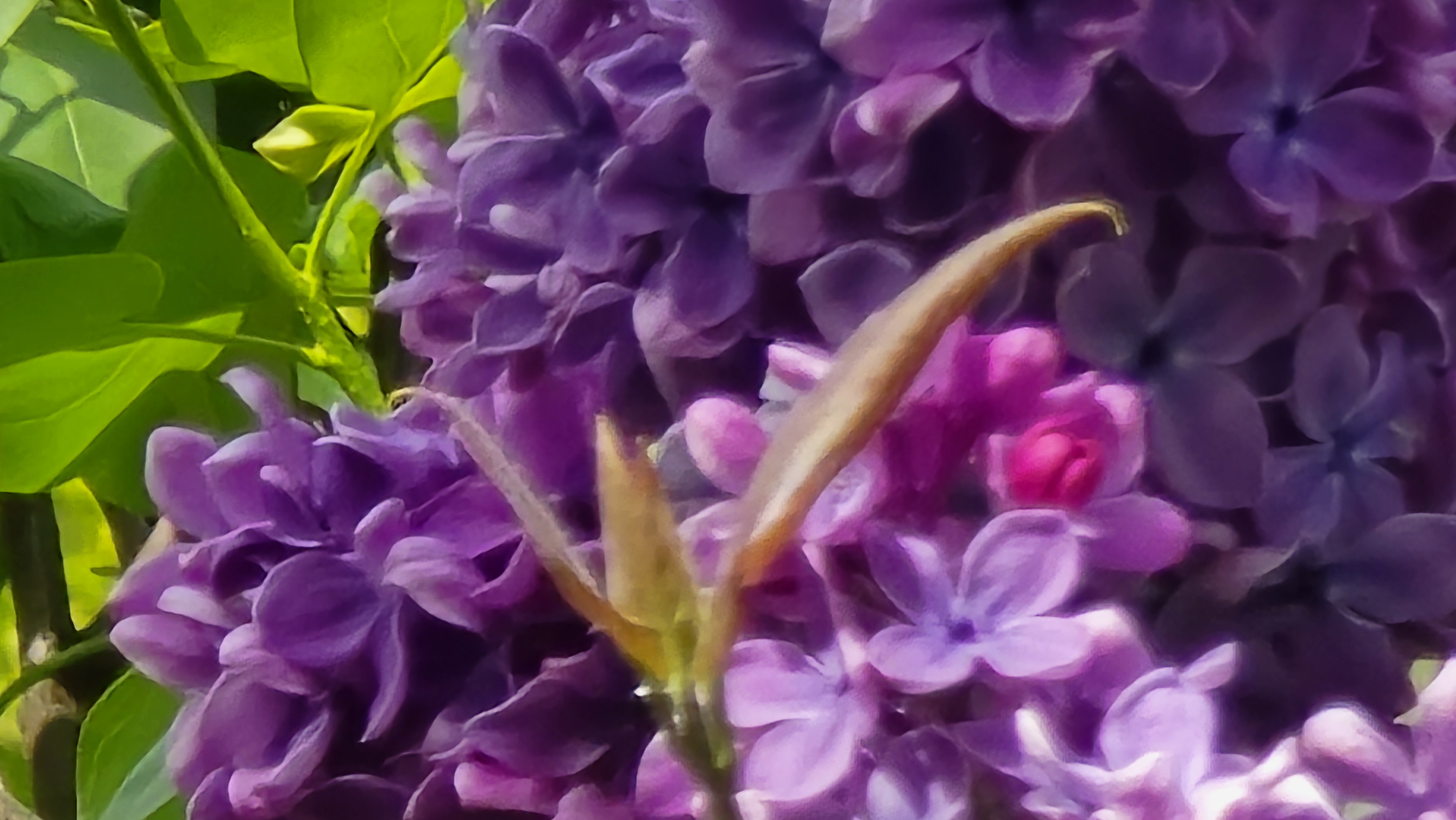 20260430_133805.jpg
