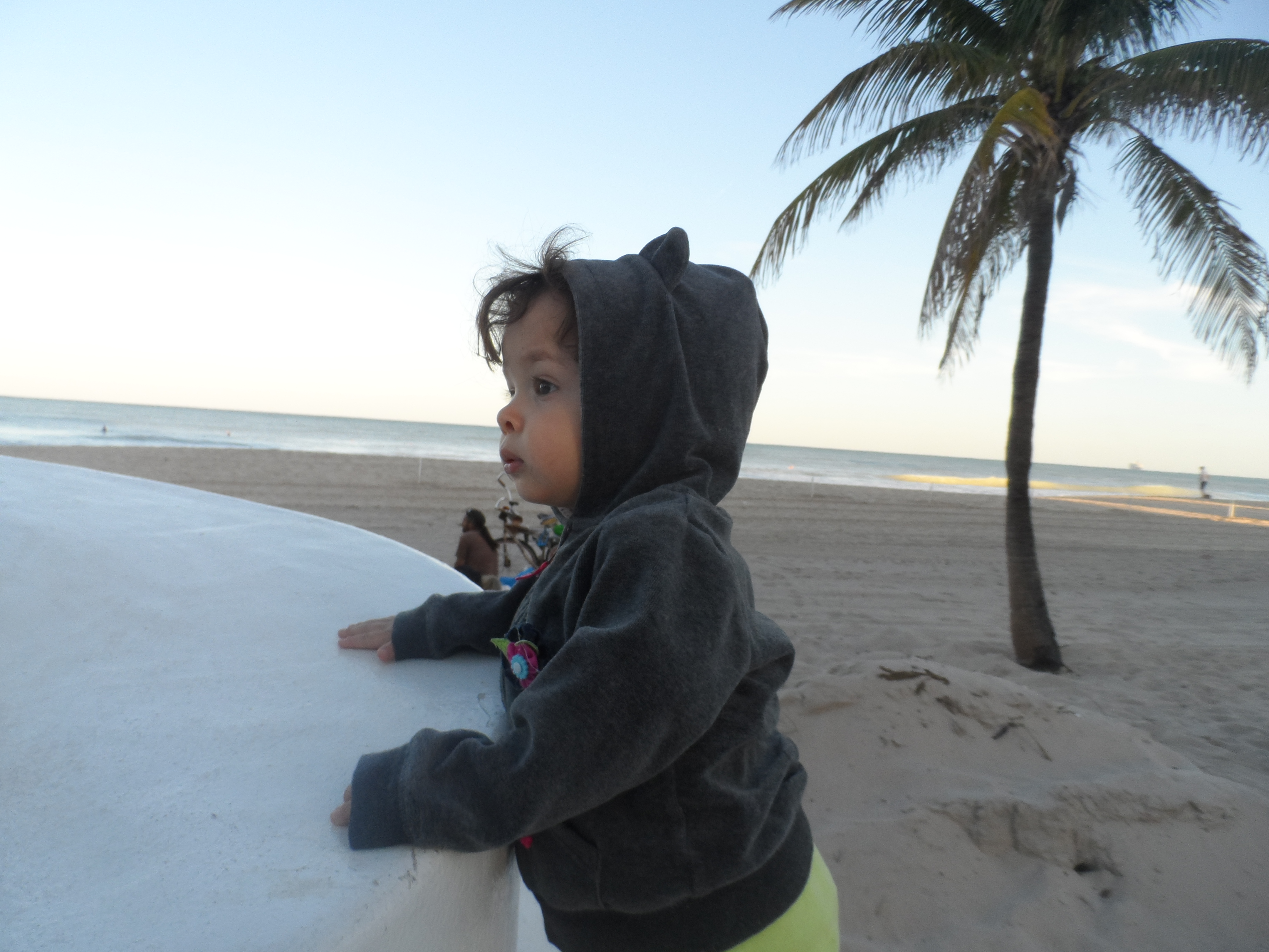 SAM_0493.JPG