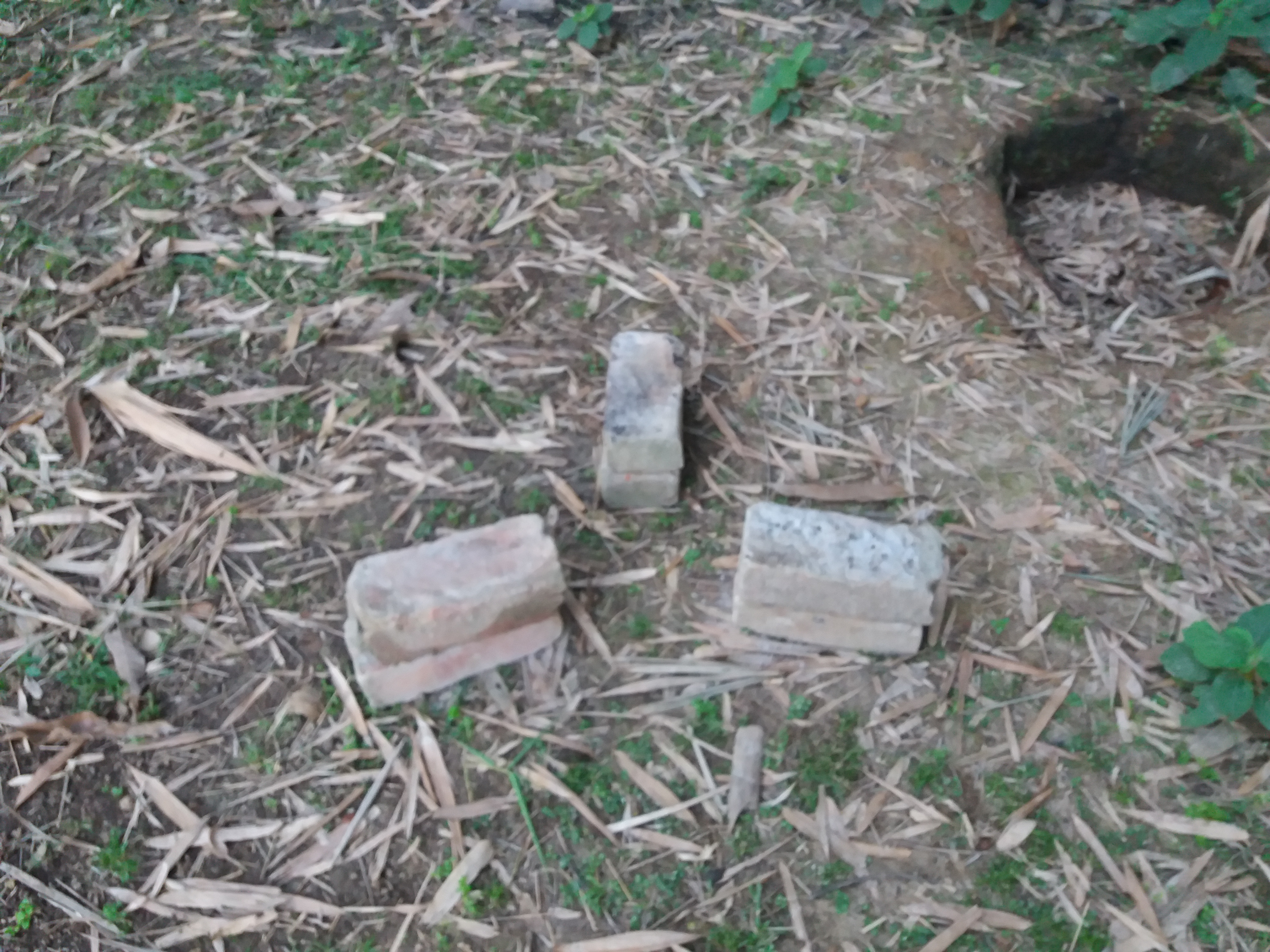 20201101_171040.jpg