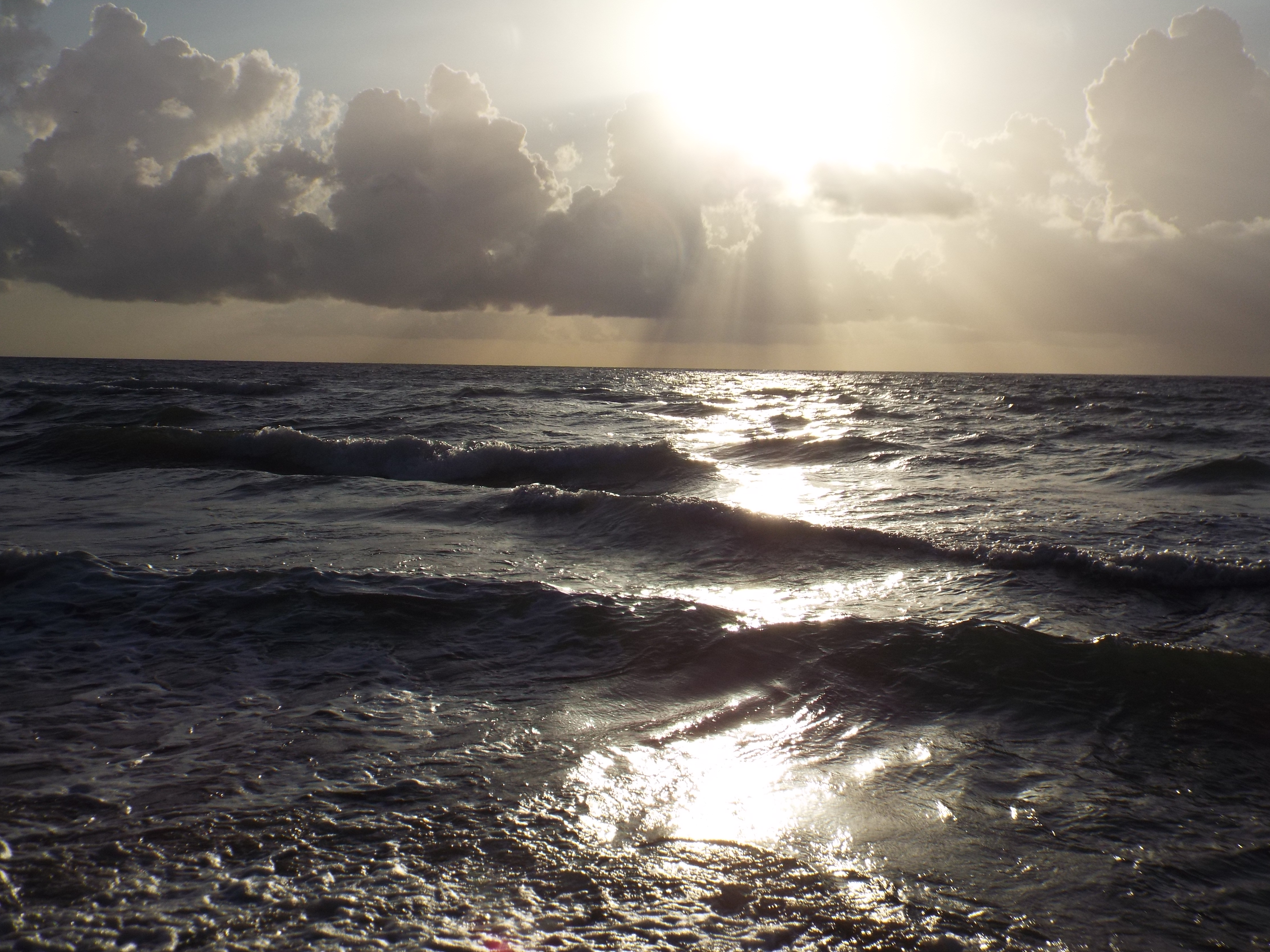 DSCF7524-003.JPG