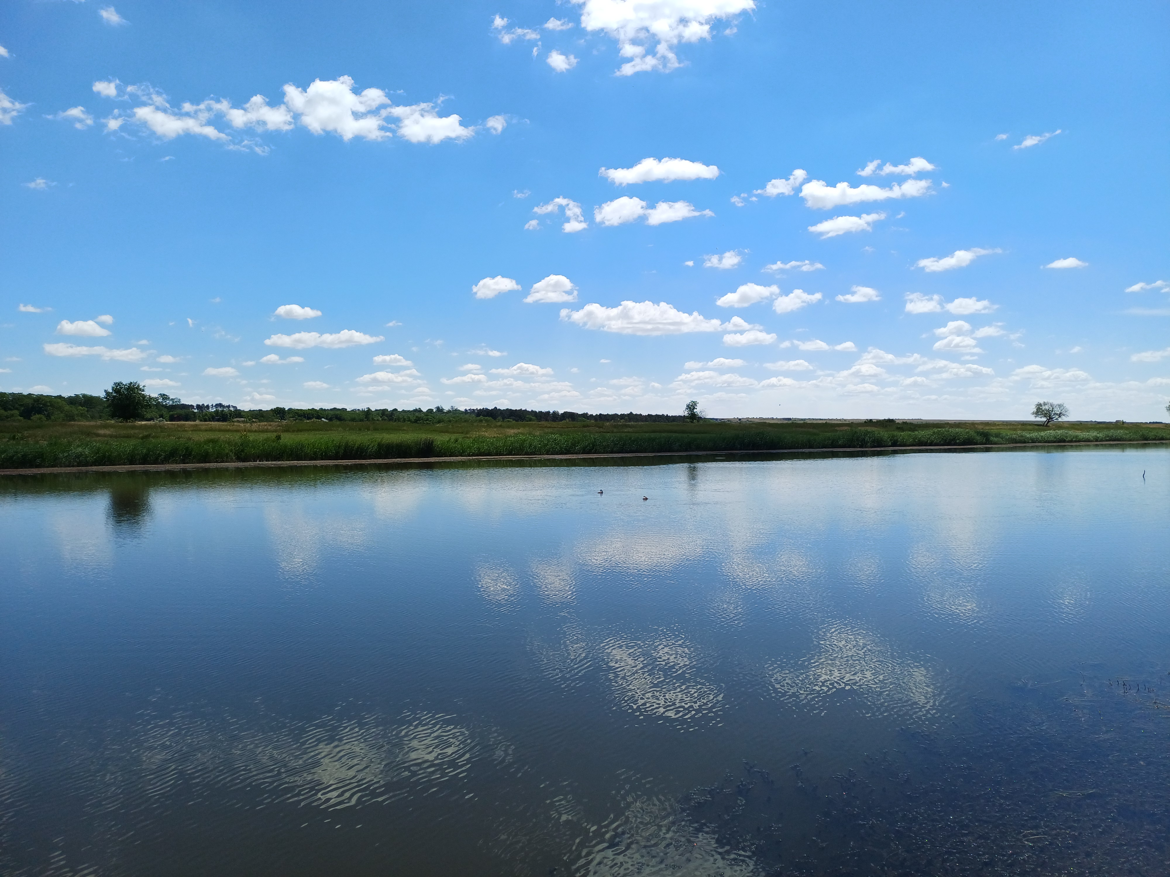 20260614_113142.jpg