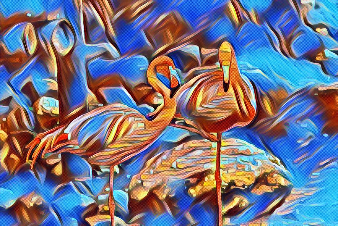 imageedit_59_3337446514.jpg