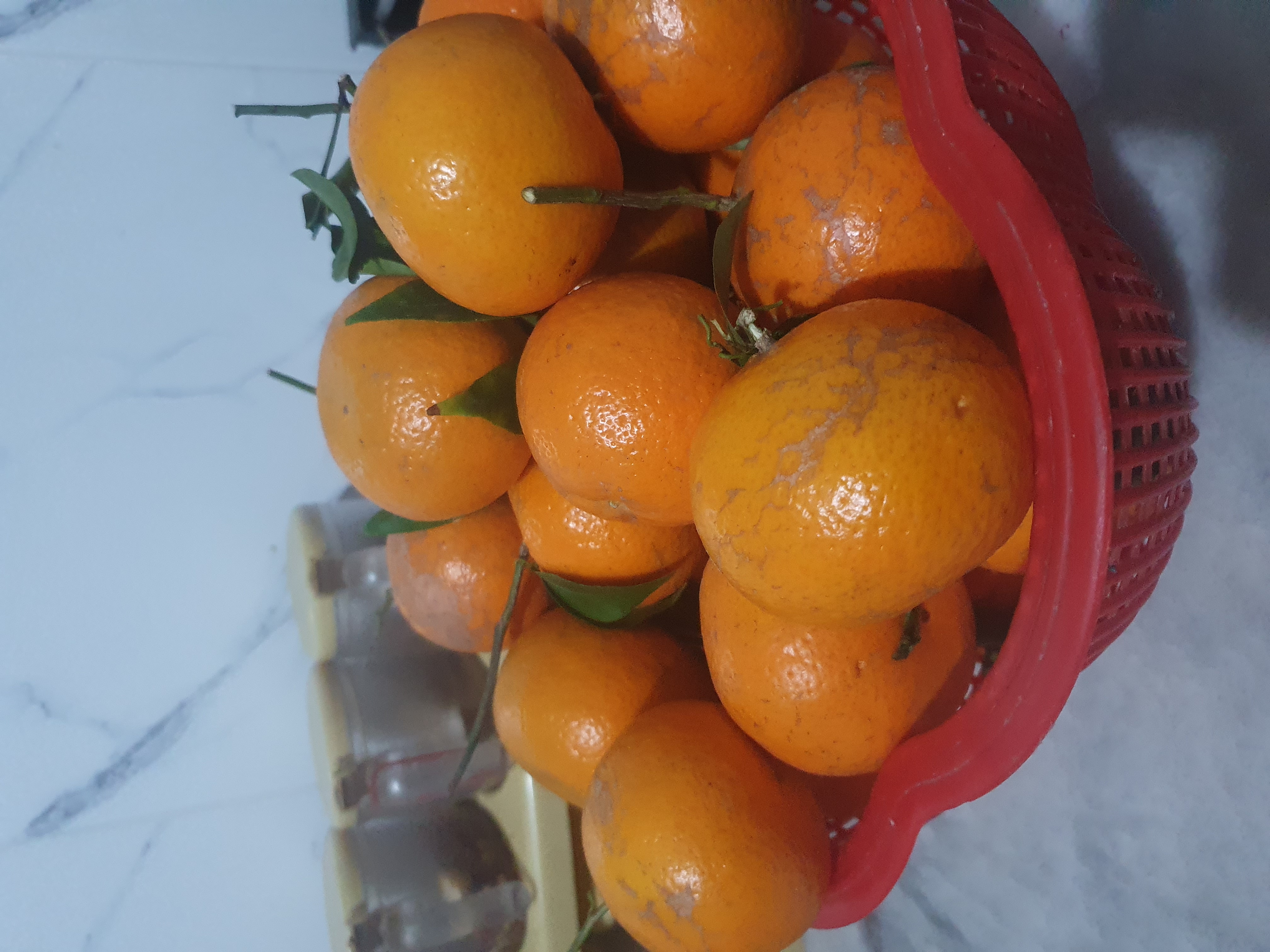 20251215_060456.jpg