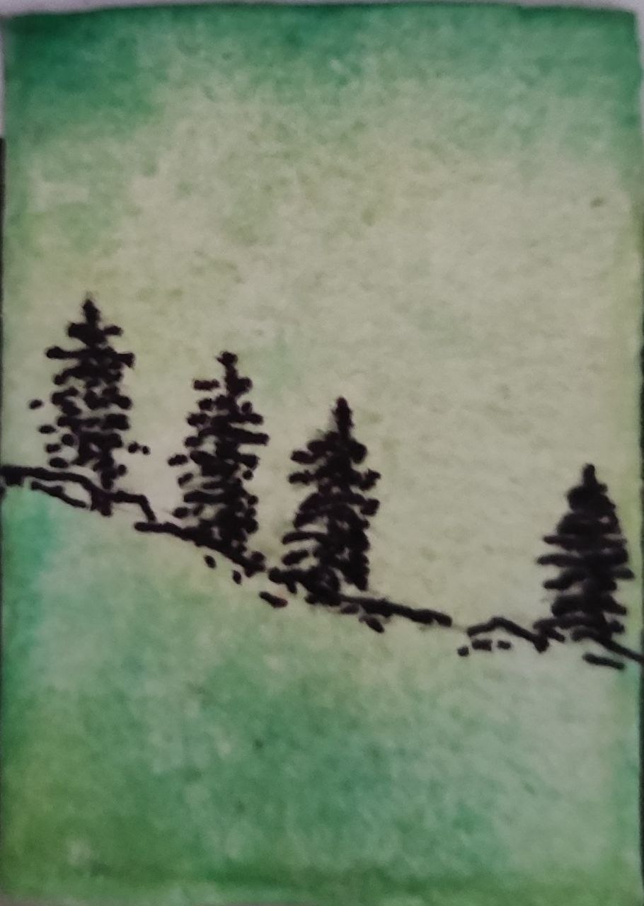 forest.jpg