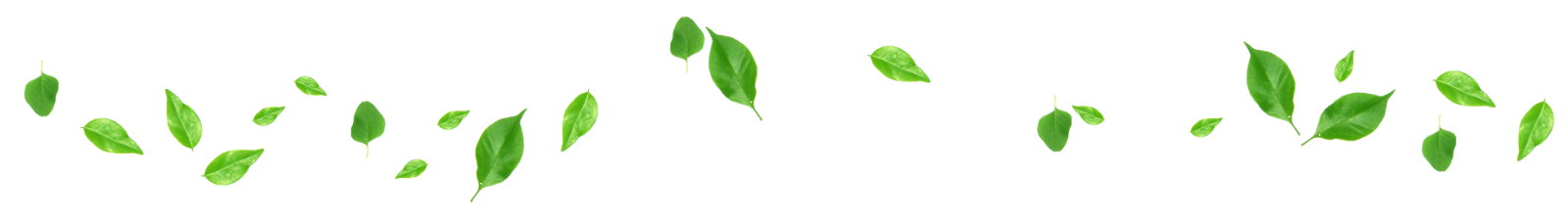 pabd_mydeardaghter_leafs_03.png