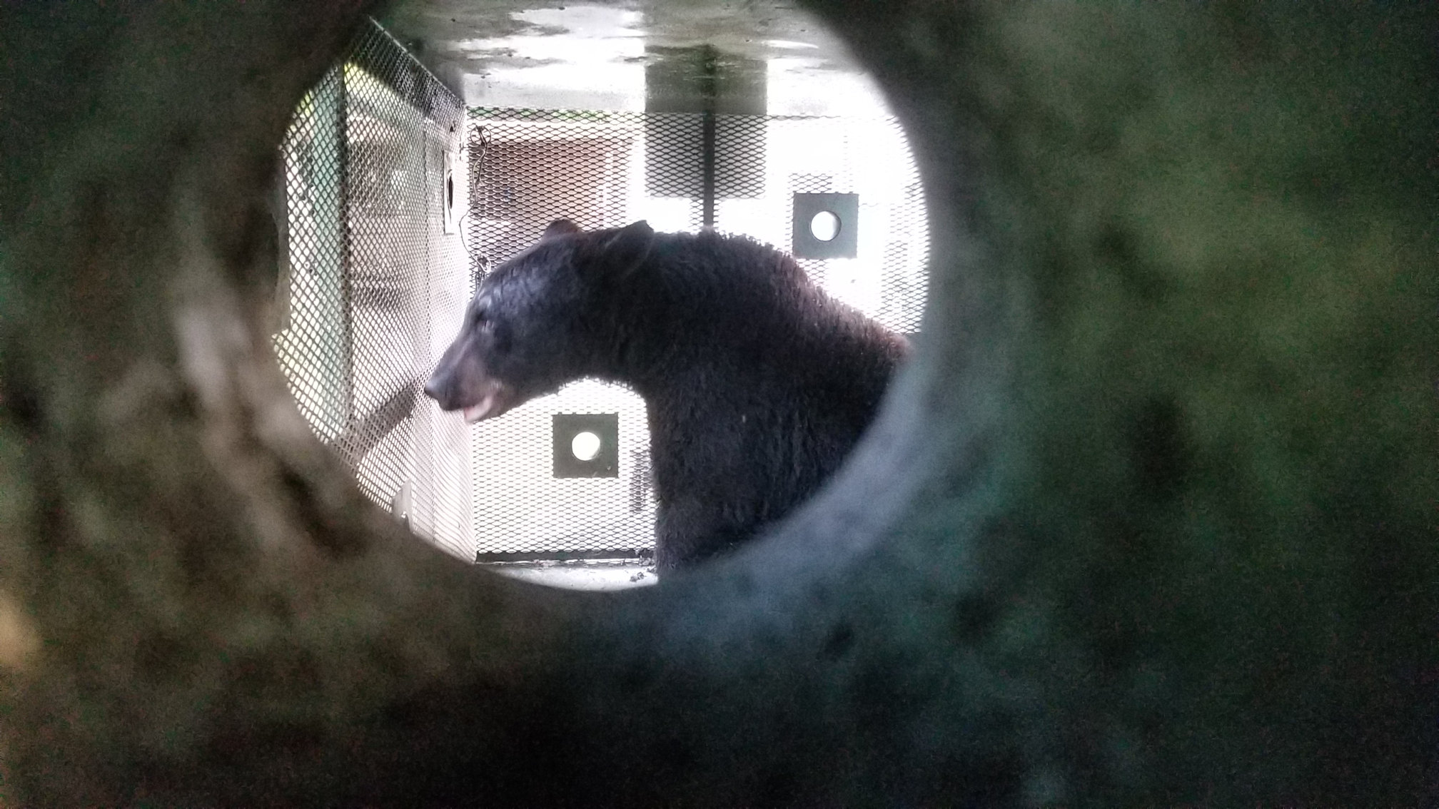 20180504_072642.jpg