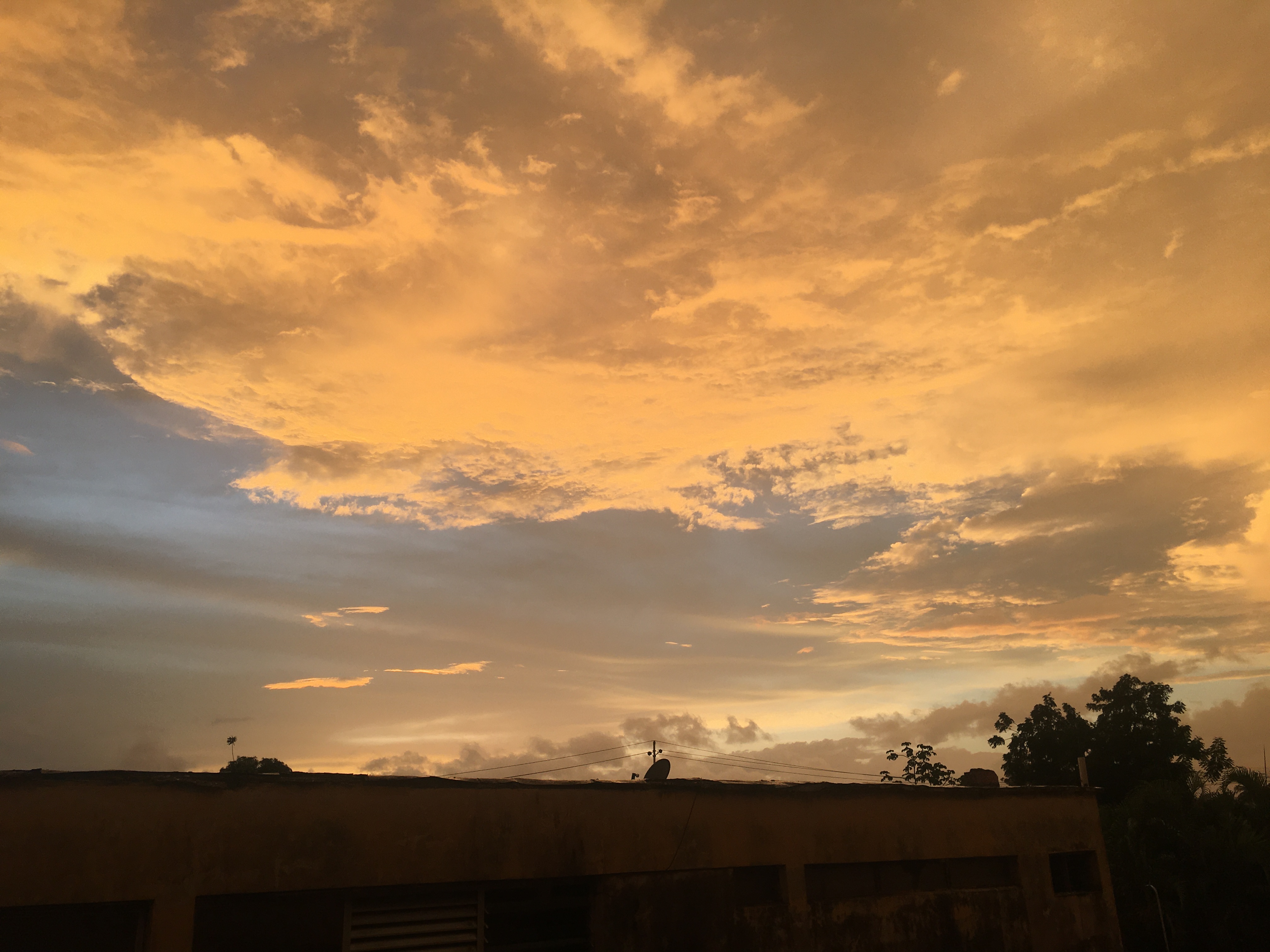 1A5267E2-11B3-4177-B4C9-D6A59C88570B.jpeg