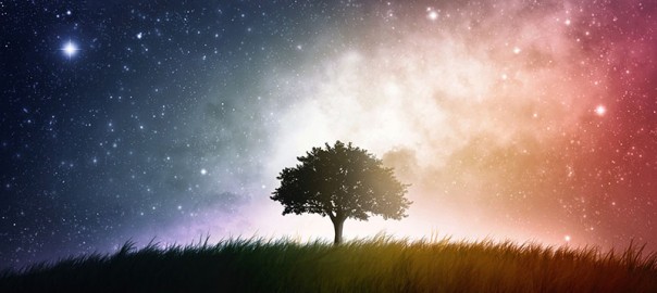 dream tree.jpg