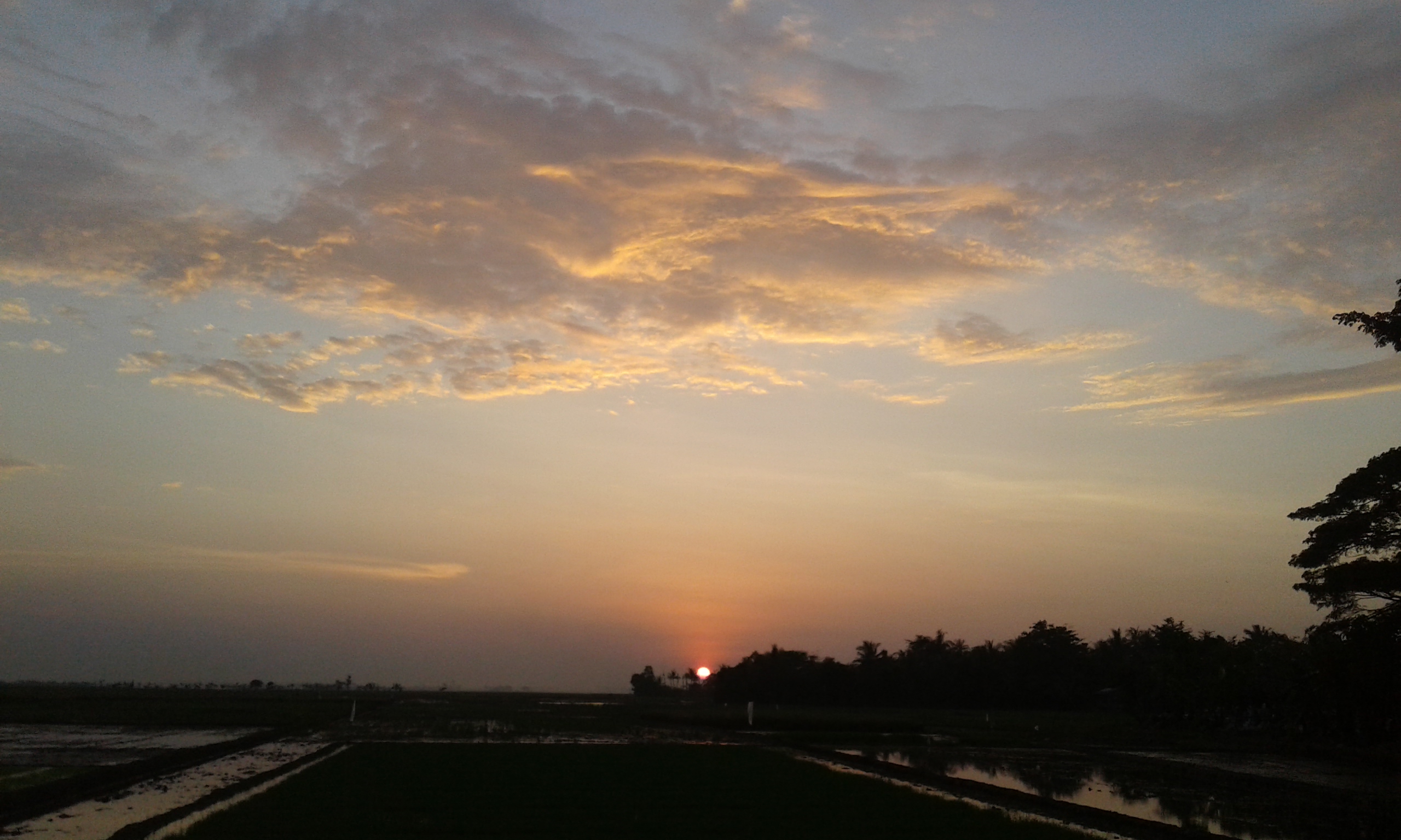 20180510_173323.jpg