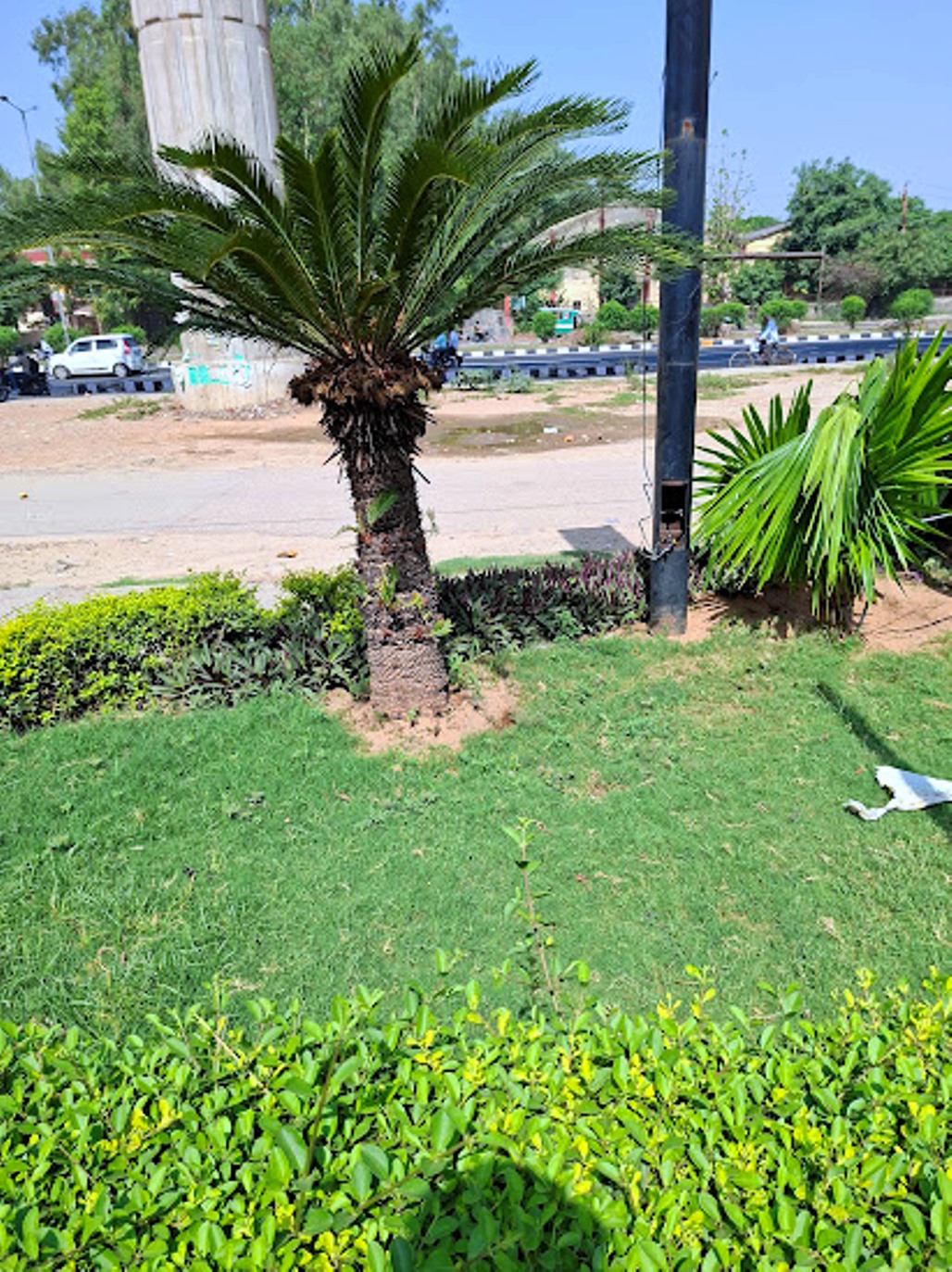 20250530_093915.jpg