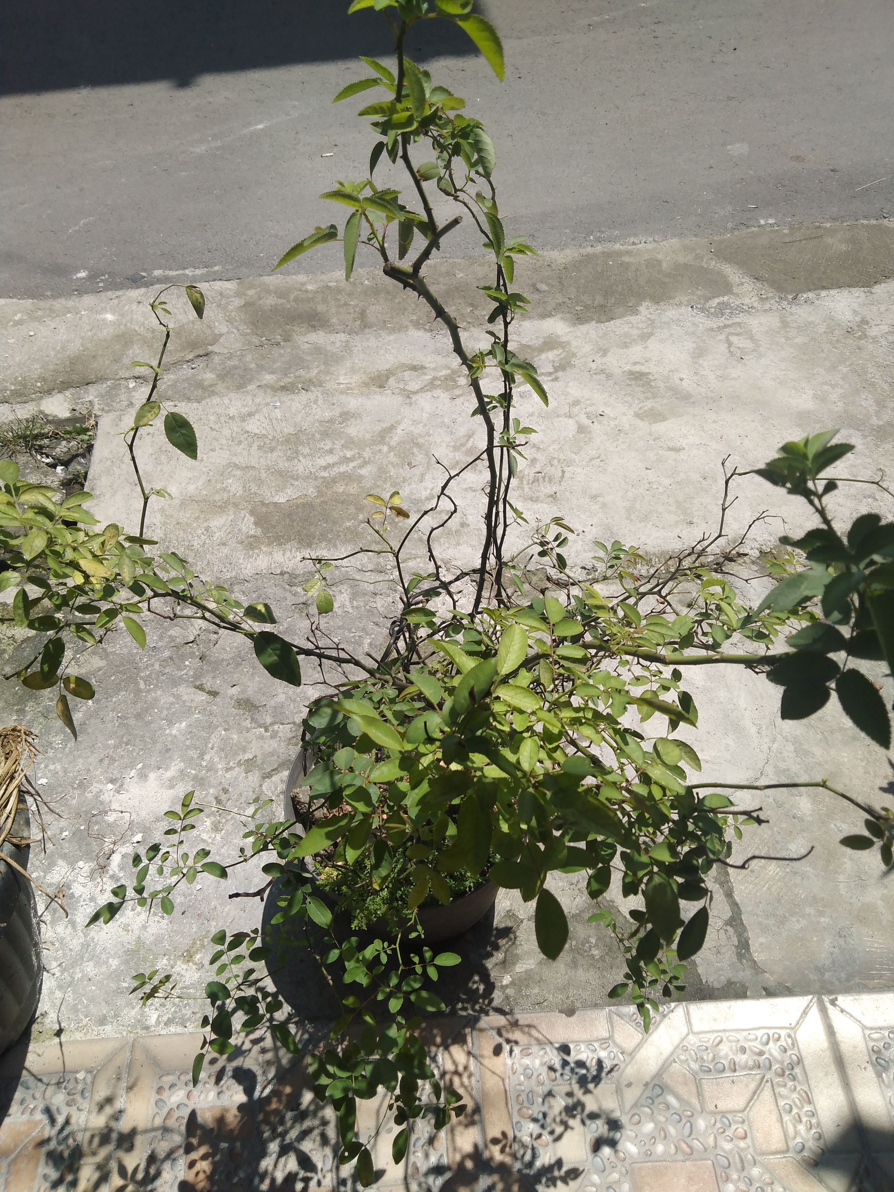 IMG20220402101013.jpg