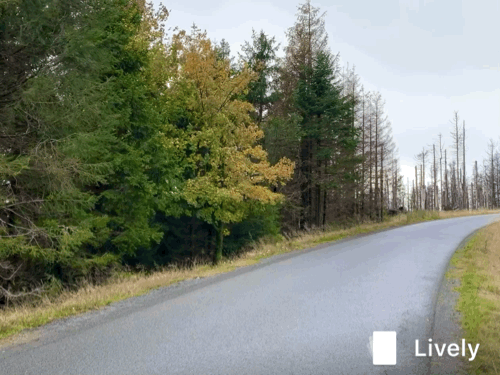 FC40F401-CC86-4CCF-A4BE-C896545989FD.gif
