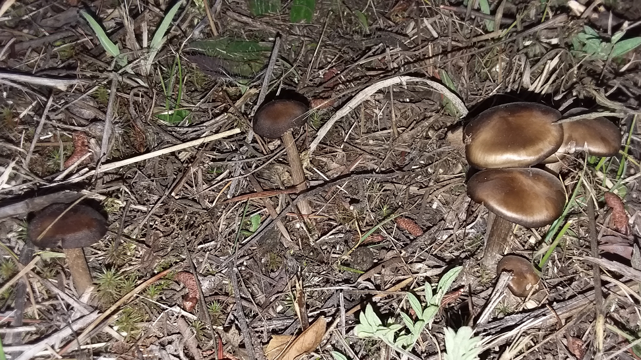 20190922_184521.jpg