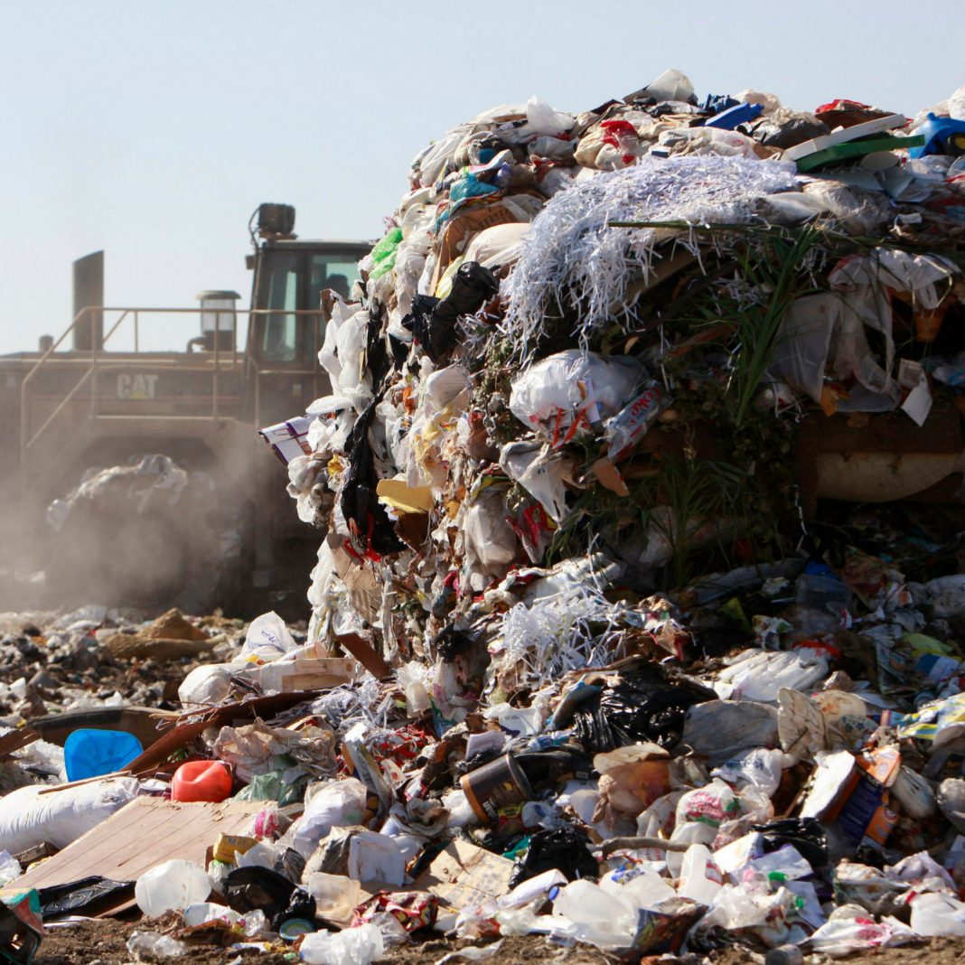 trash-fe-im-1068x1068.jpg