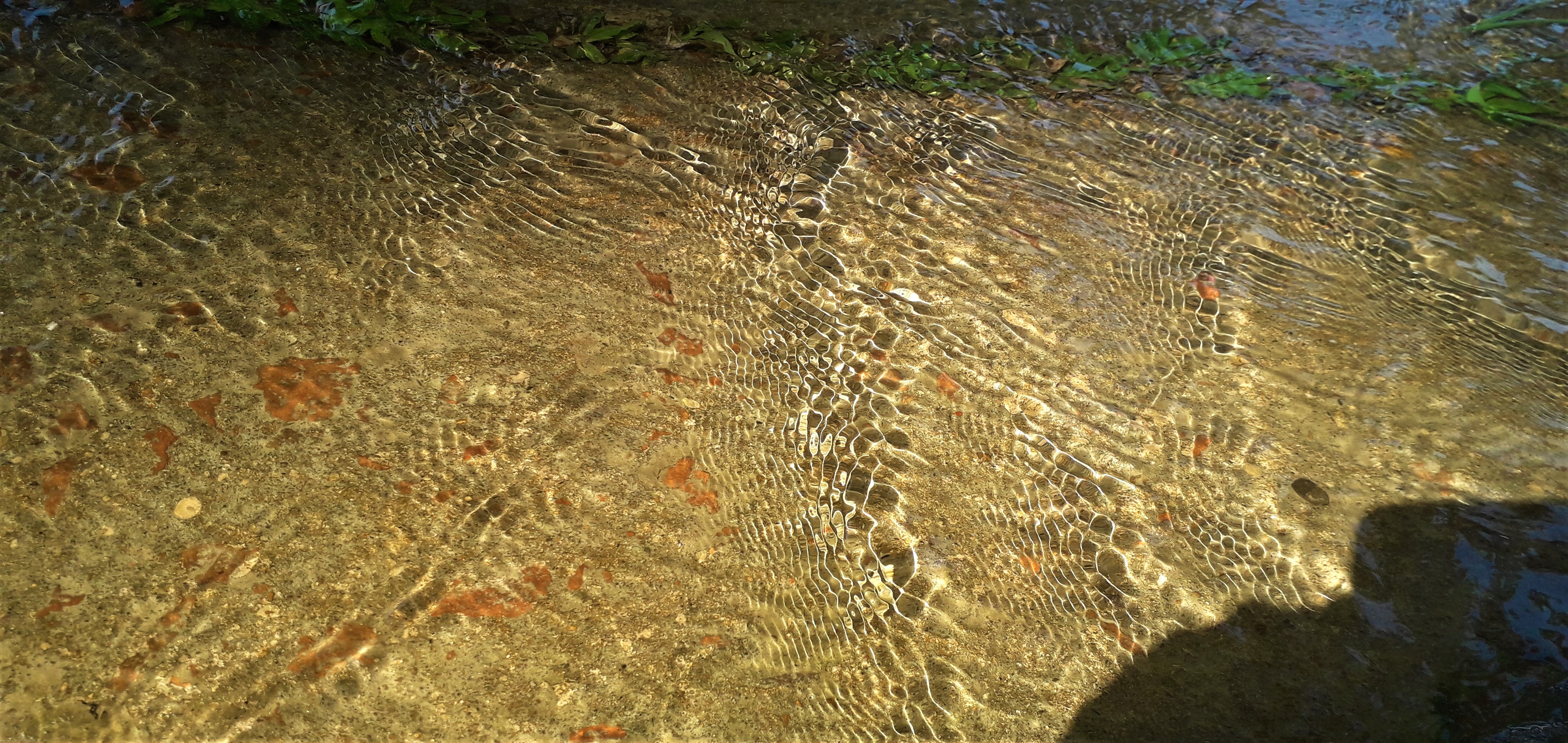 20201031_140344.jpg