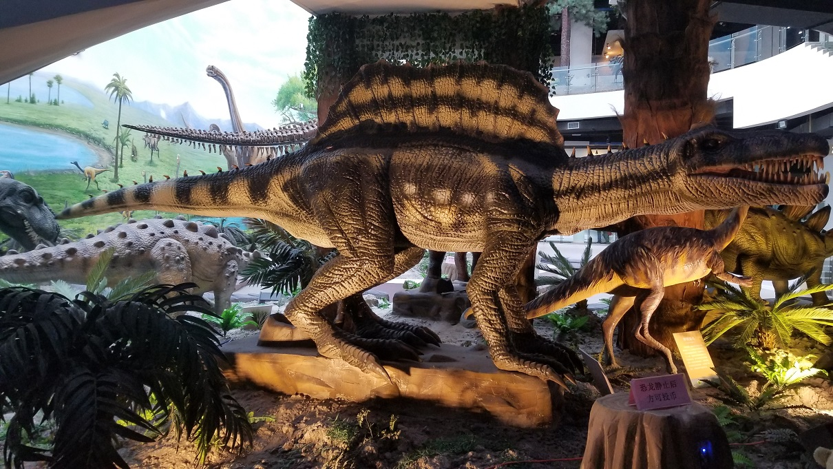 辽宁古生物博物馆：恐龙 / Dinosaur 2