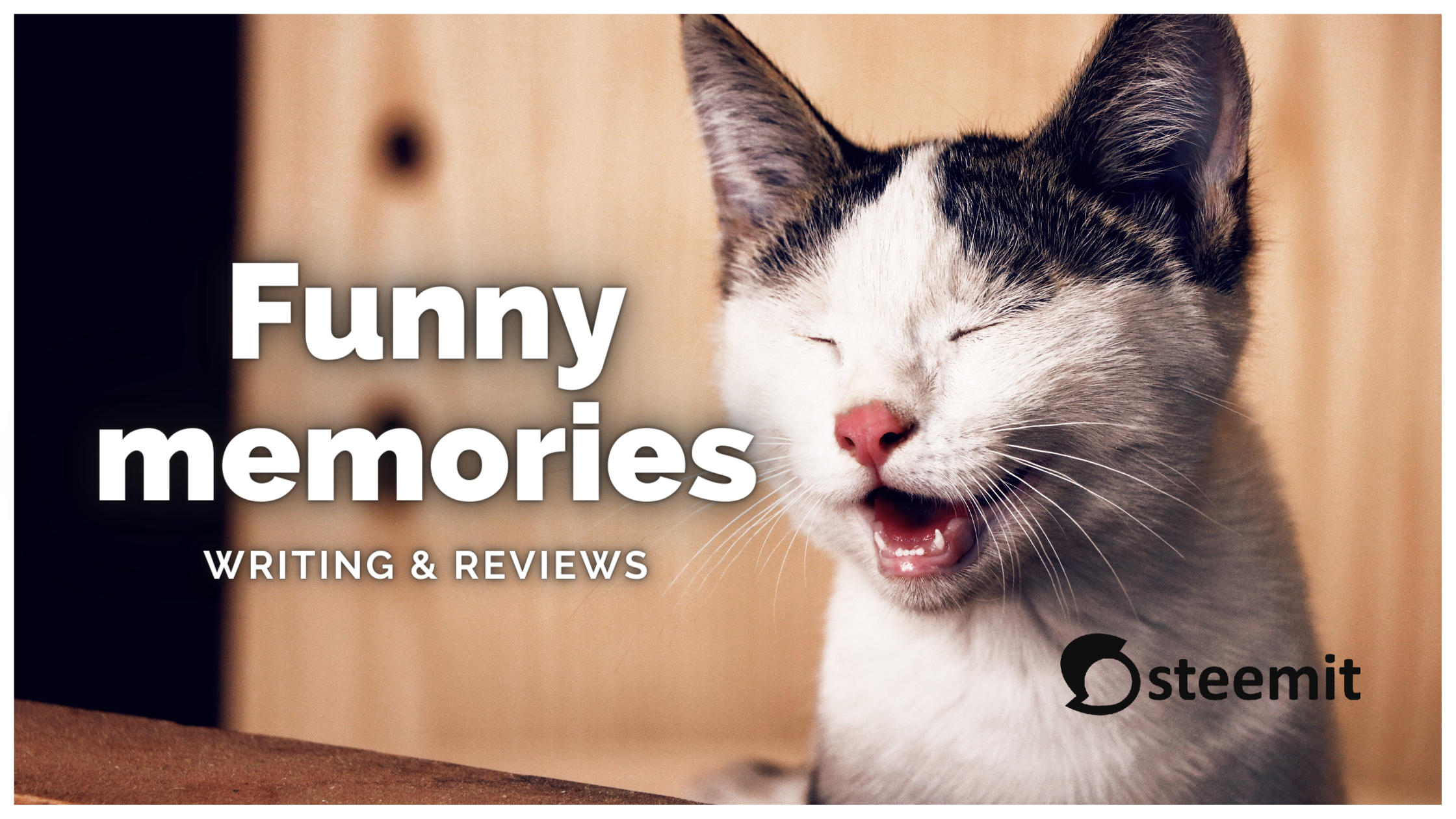 WRITING & REVIEWS (2).png