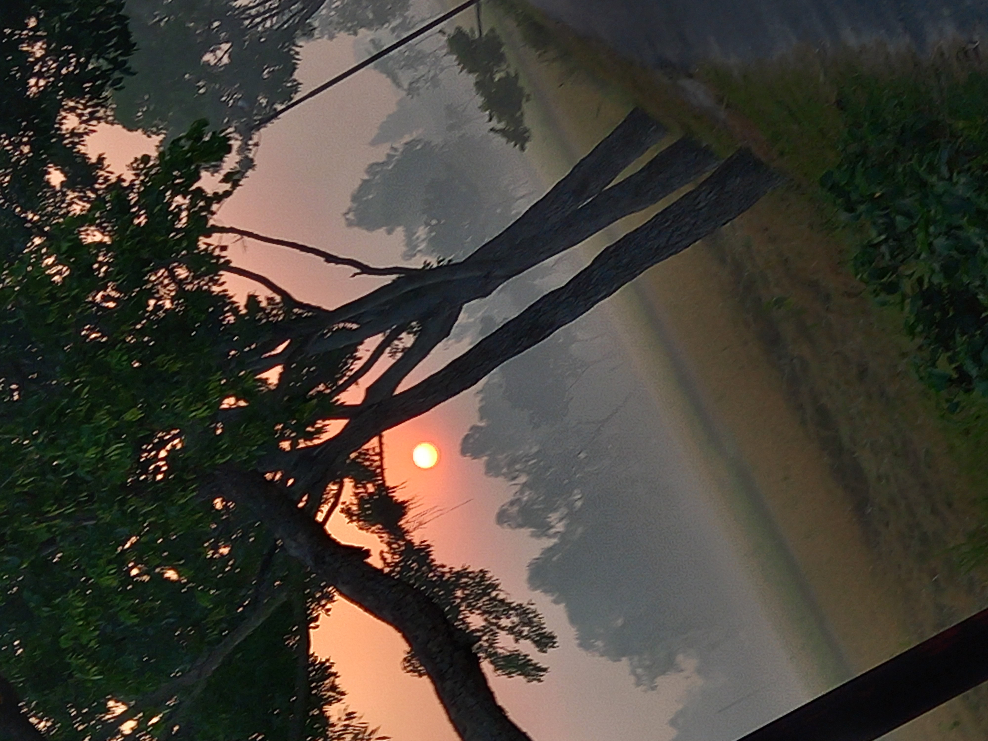20230508_054644.jpg