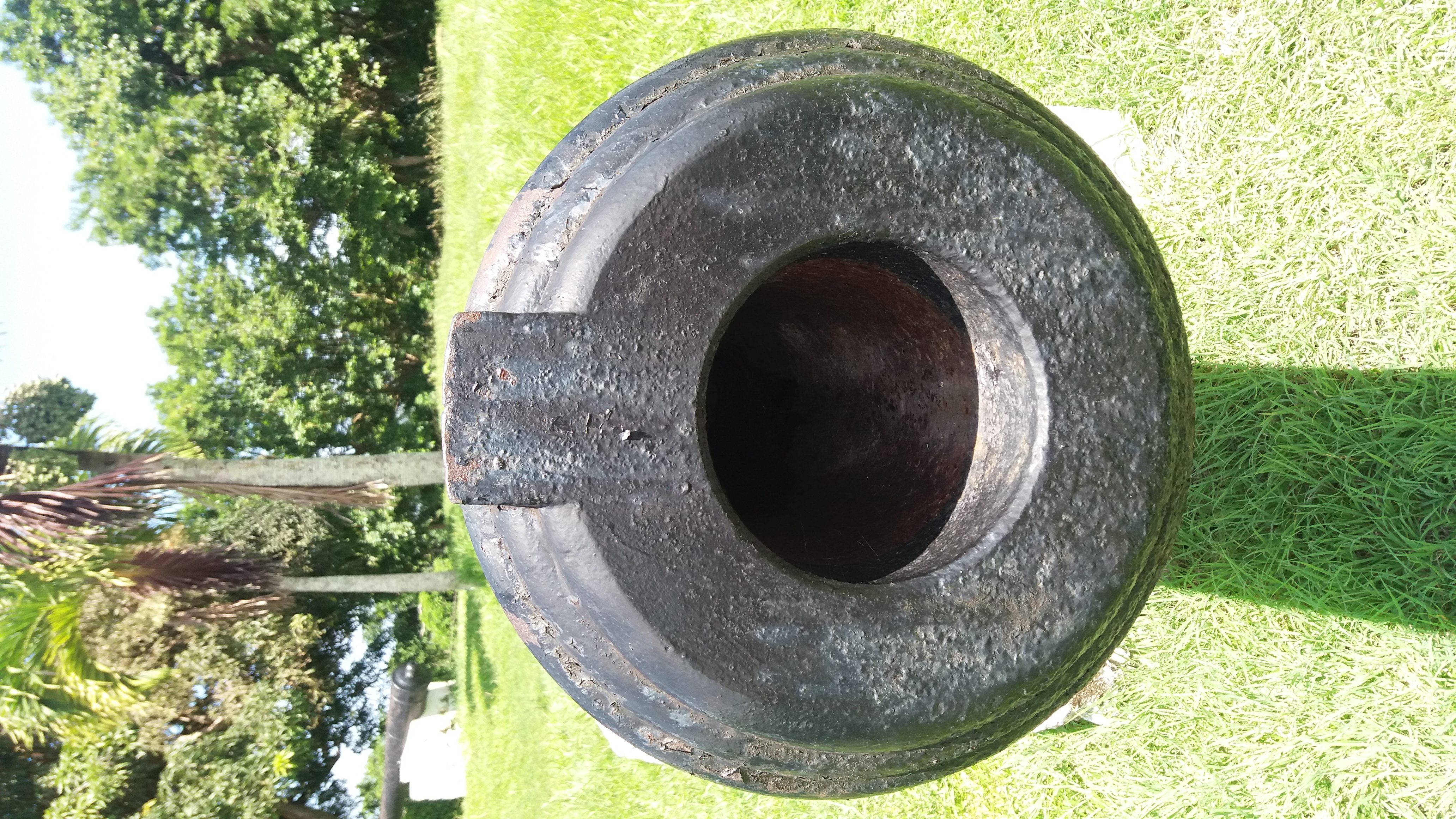 20190930_125203.jpg