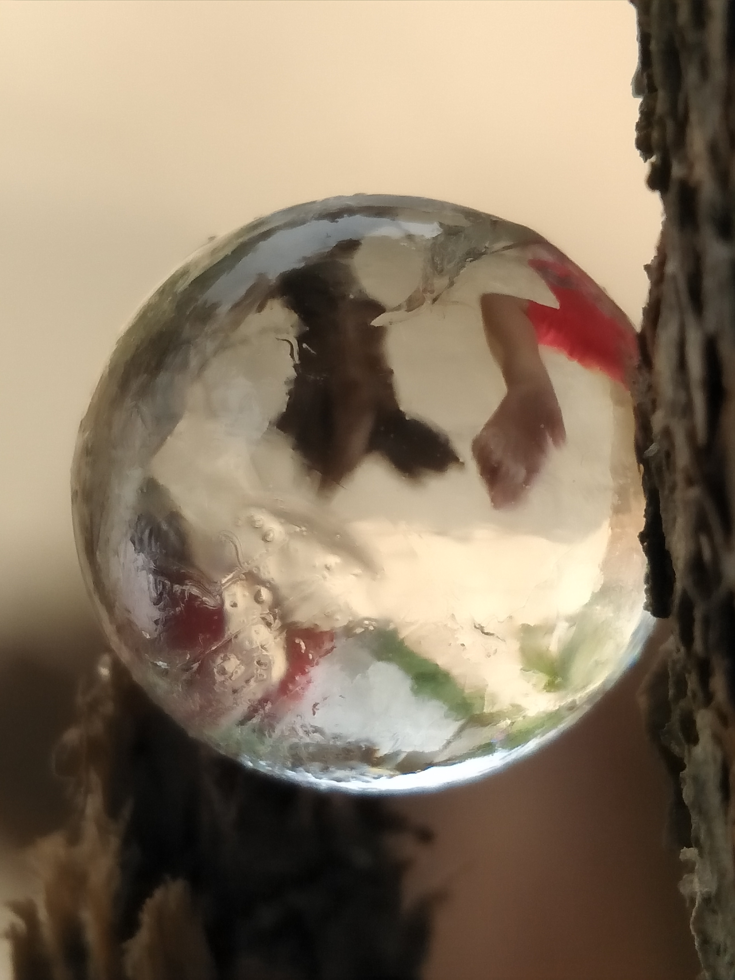 IMG20180920115418.jpg