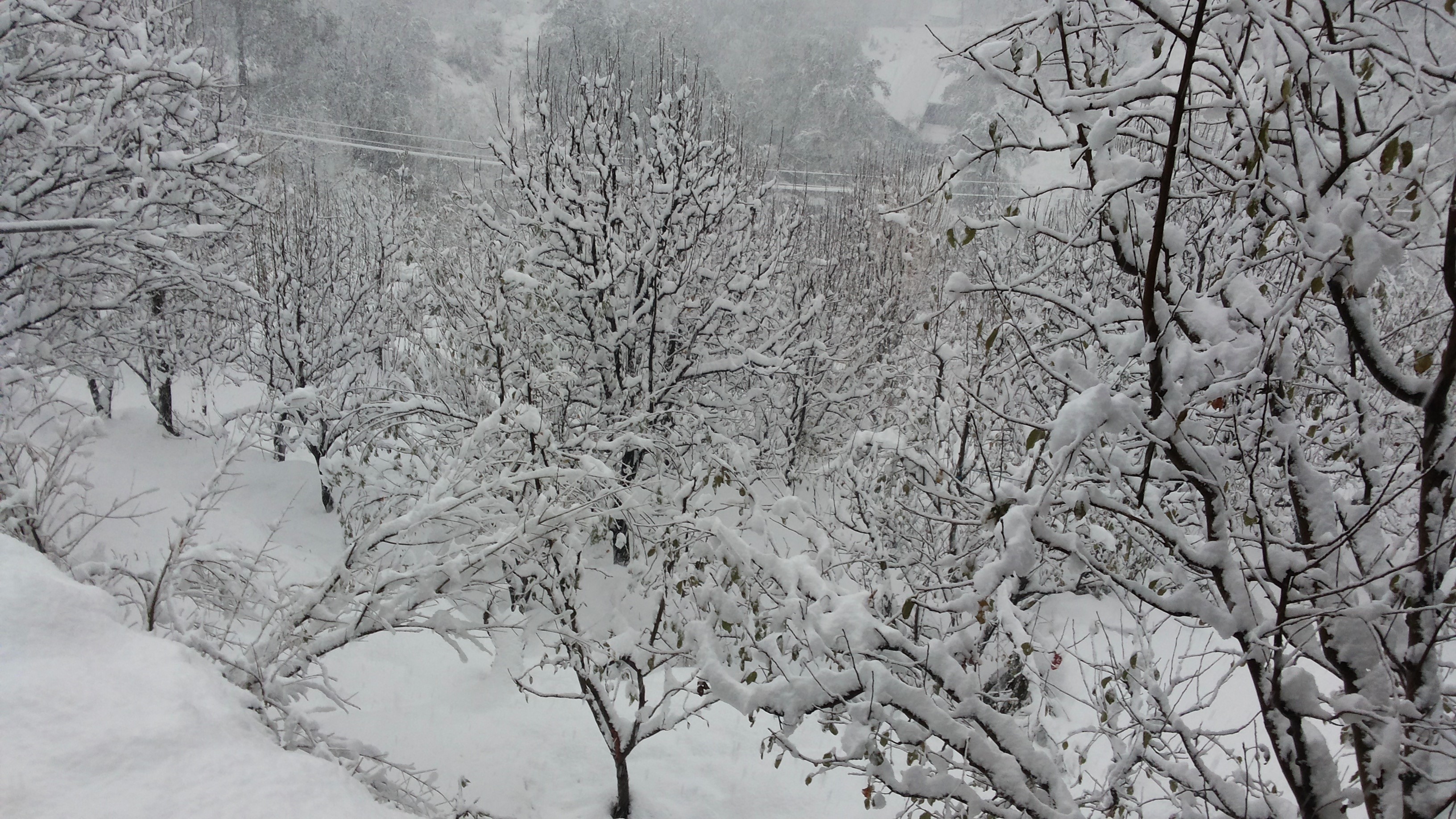 20141214_081425.jpg