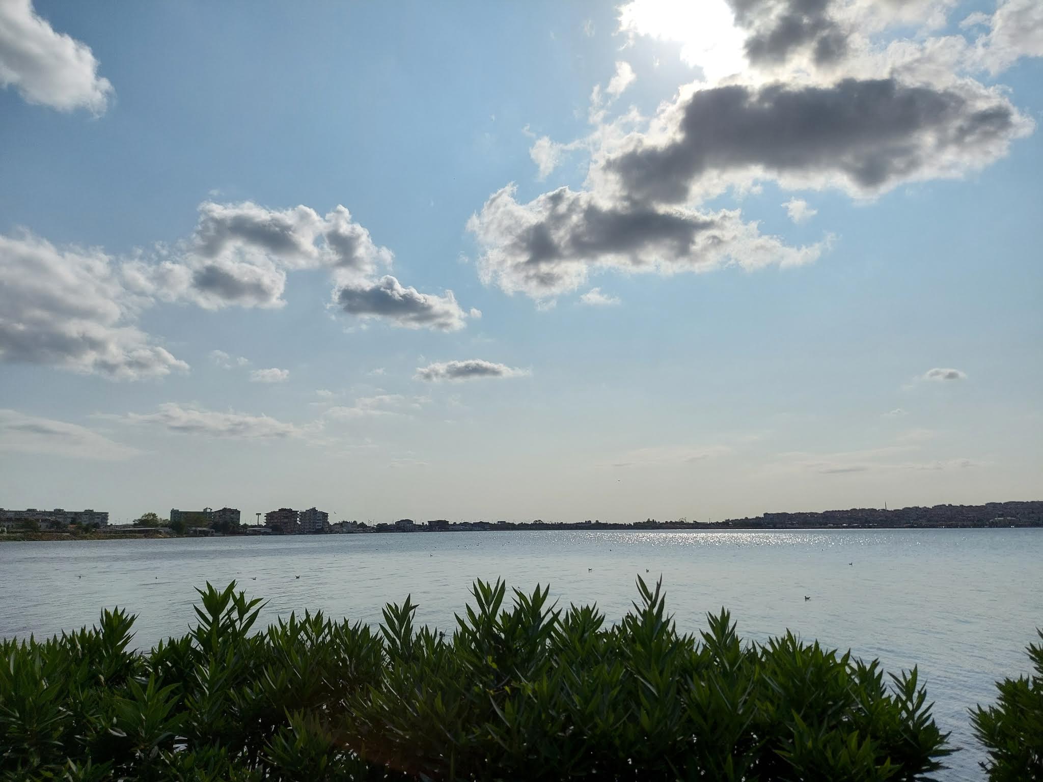 20210928_151741.jpg