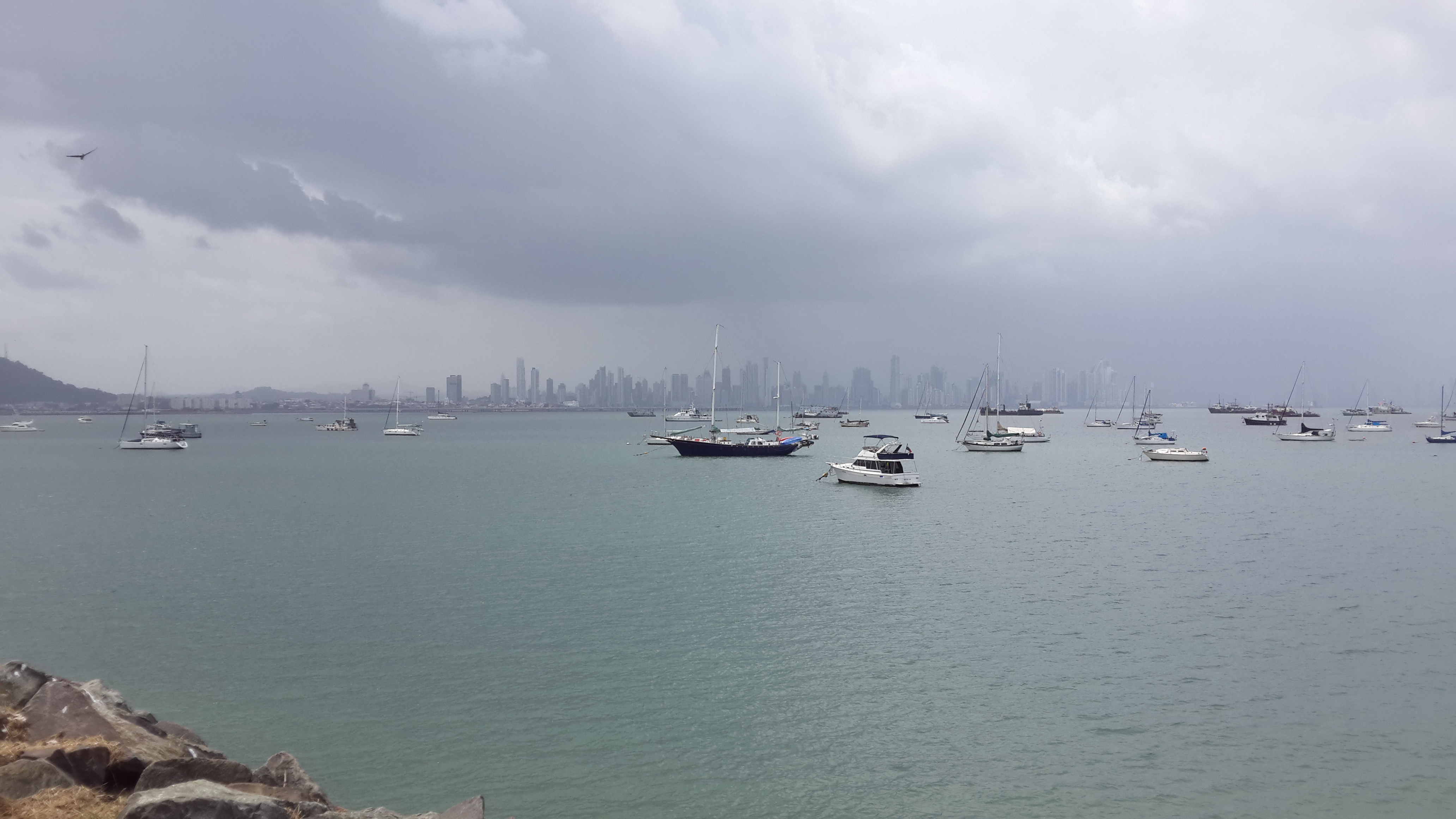 20190721_144856.jpg