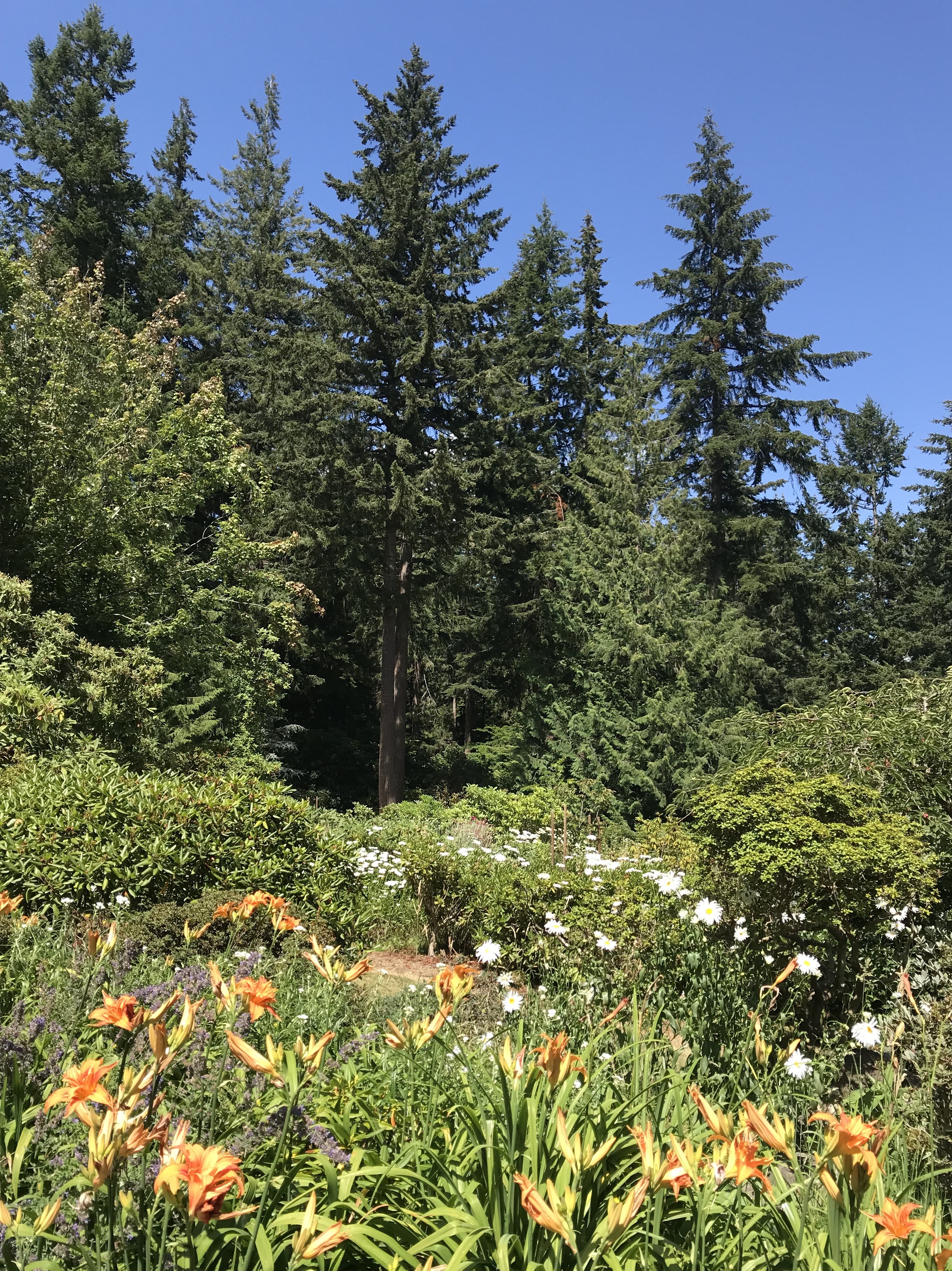 B570D707-F6CD-4FA3-986B-B6D8543966F5.jpeg