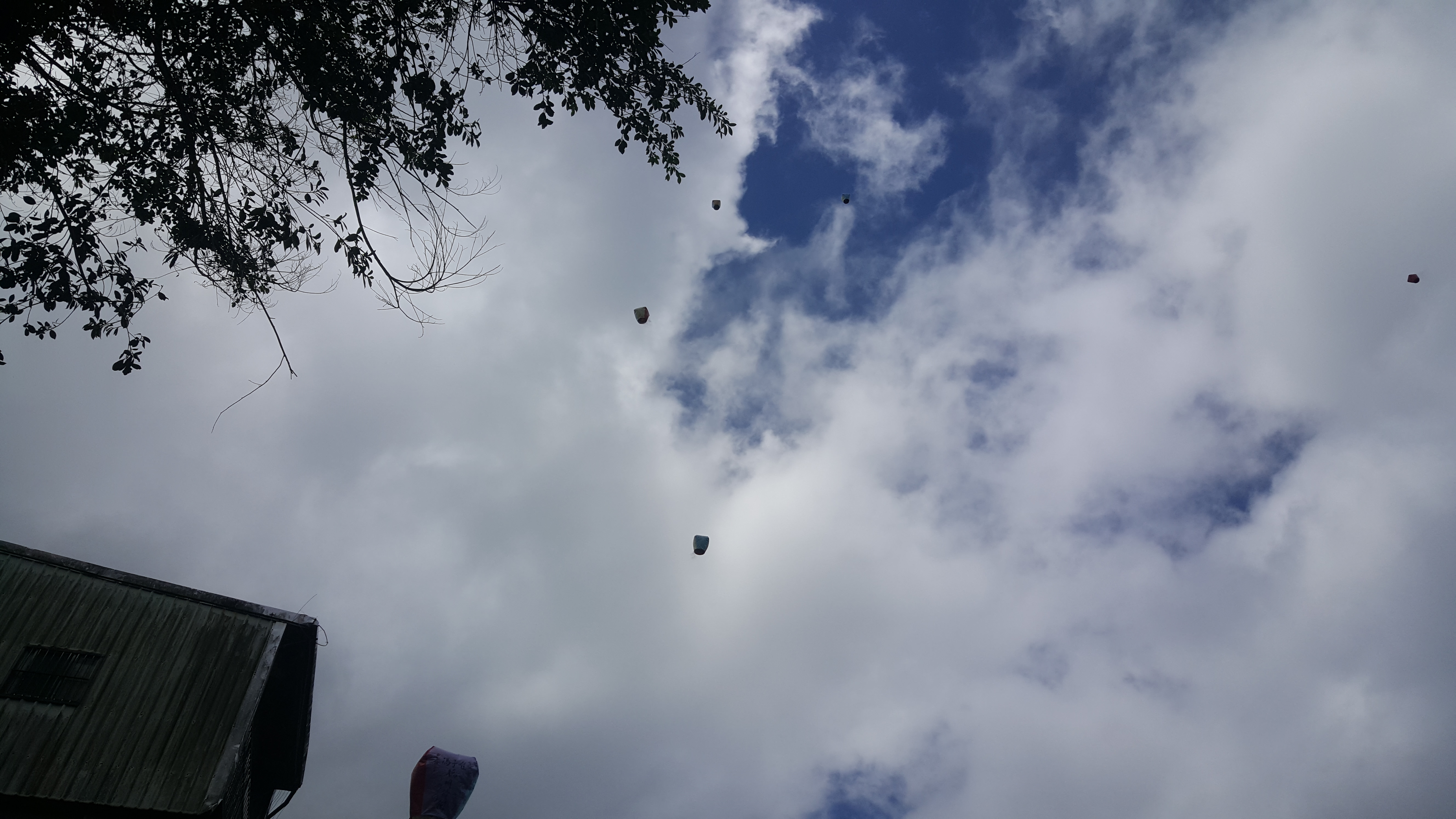 20180712_110925.jpg