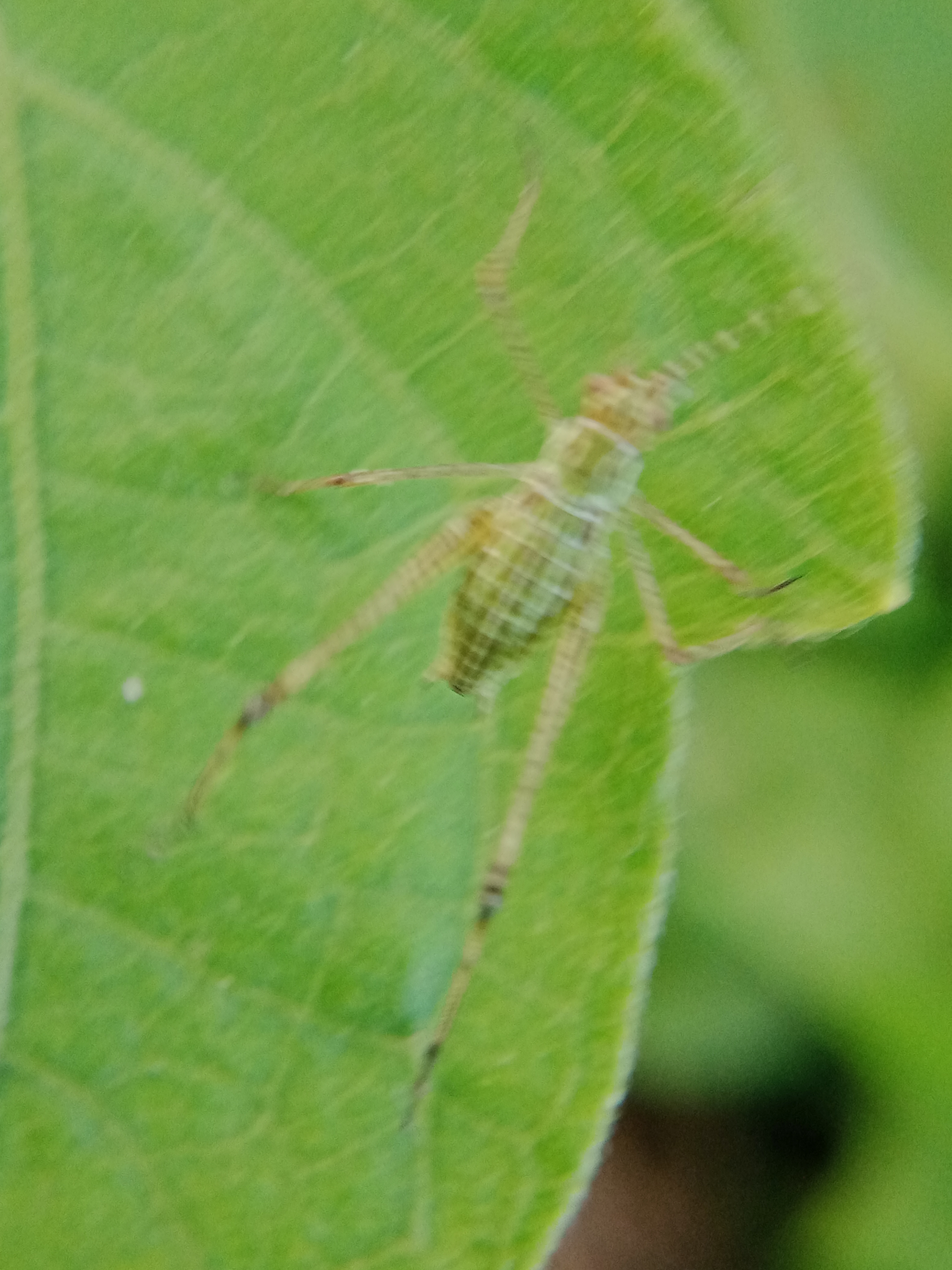 IMG20250927174705.jpg