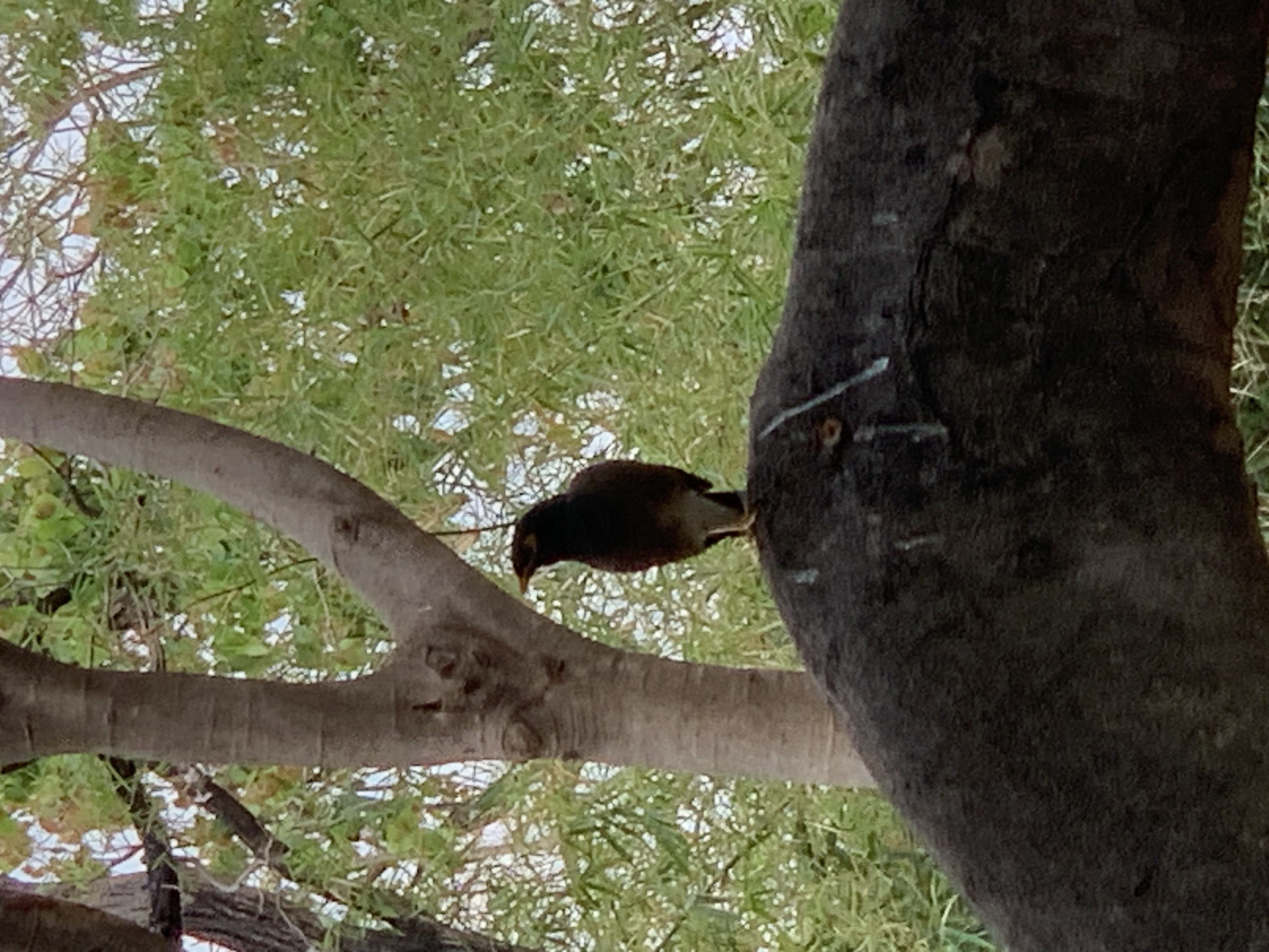 birdwatching spots31.jpg