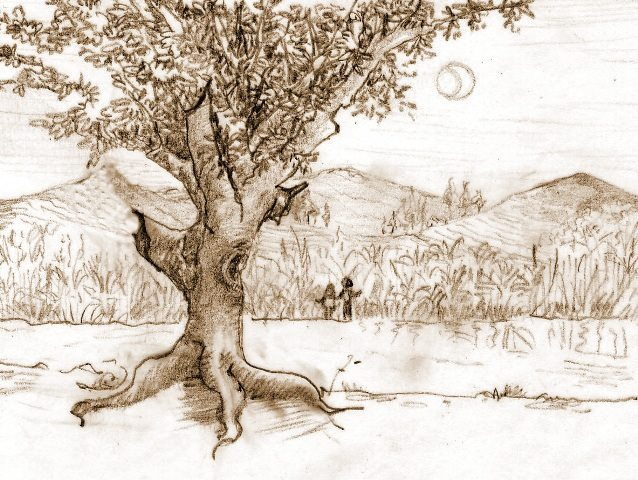Martell paisaje 5.jpg