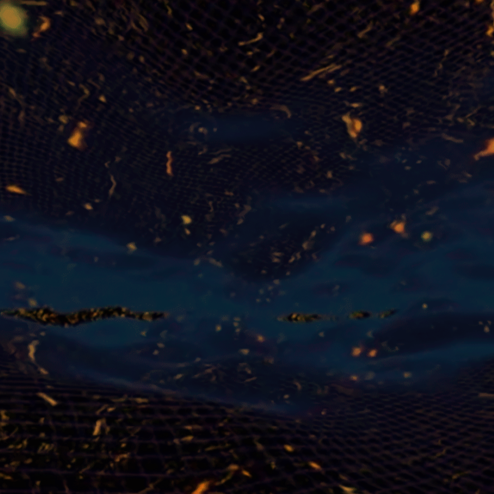 Screenshot (20).png