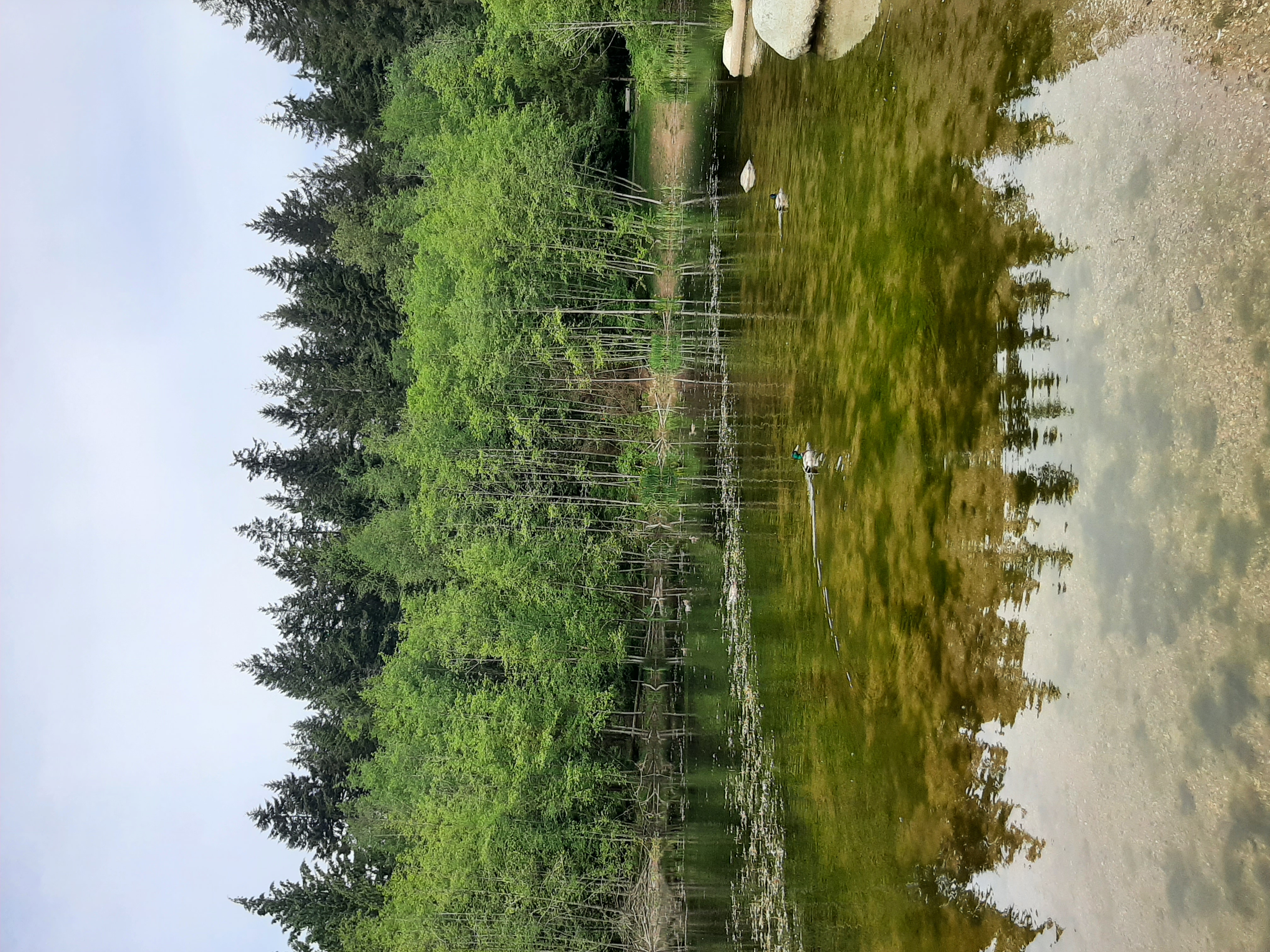 20220602_112100.jpg
