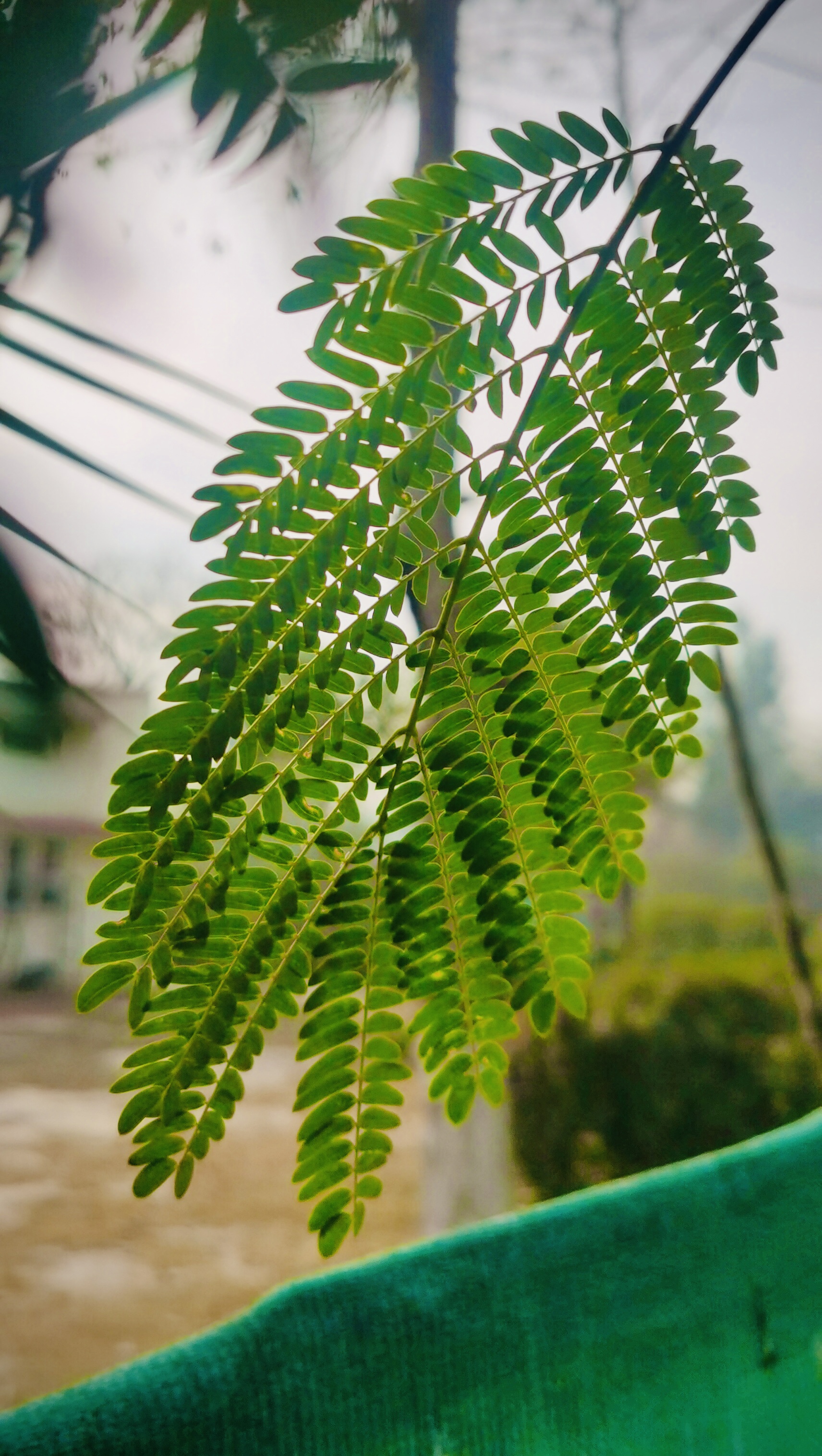 973F0448-412C-4D92-A313-1A9989AEAA4B.jpeg