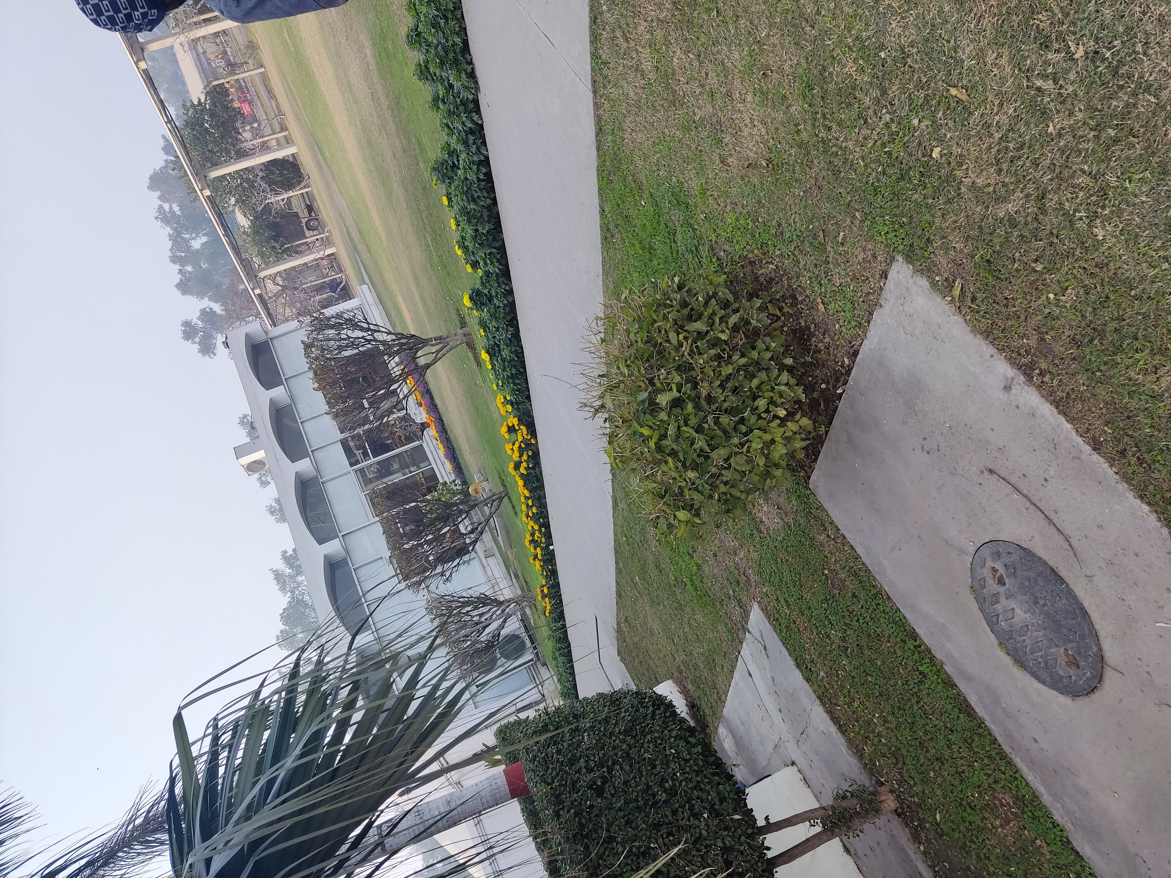 IMG_20220118_142746.jpg